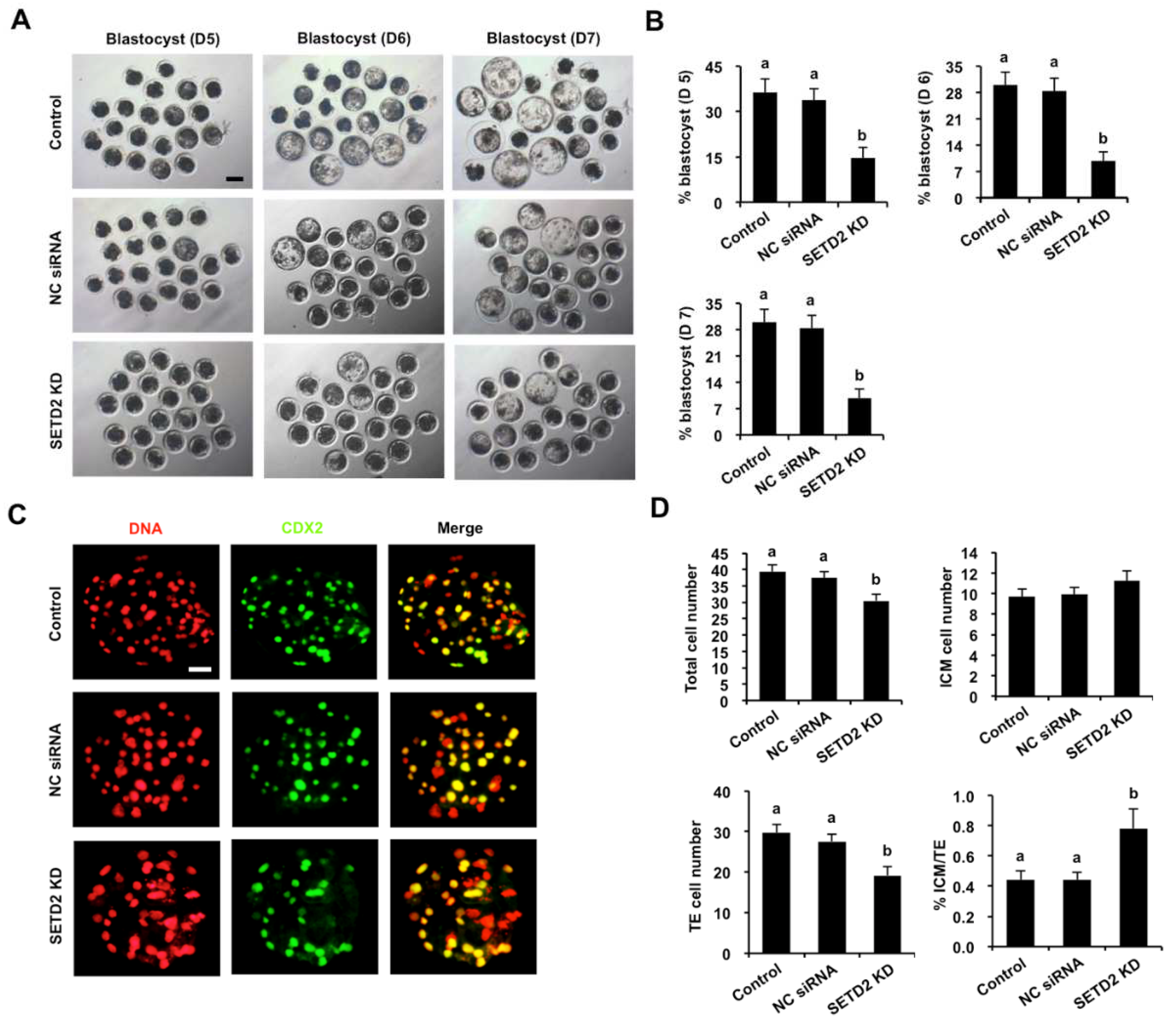 Animals 12 02226 g004