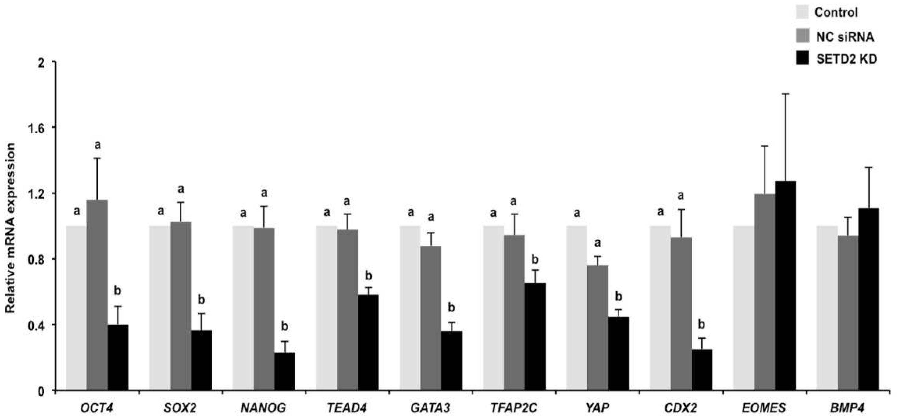 Animals 12 02226 g005