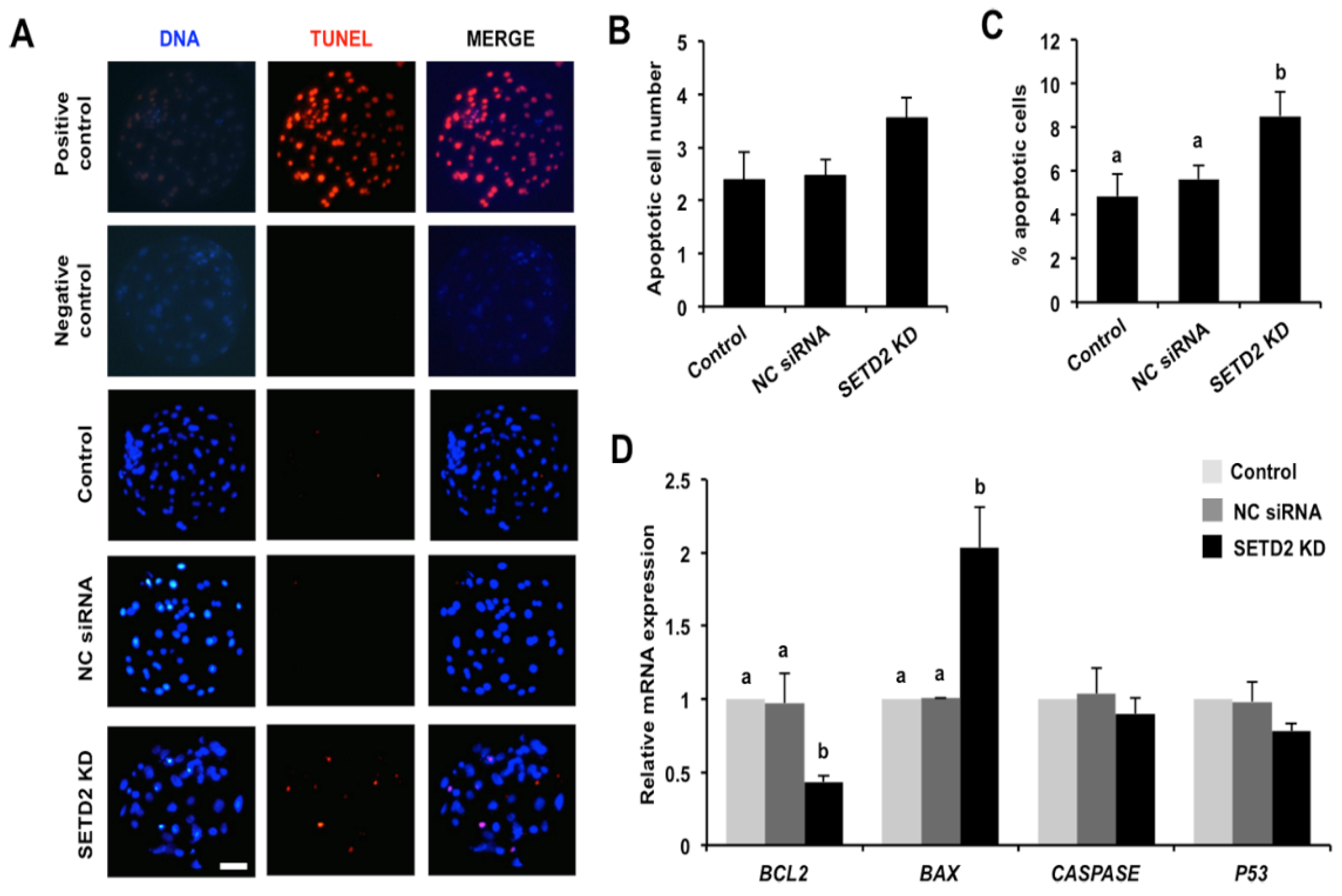 Animals 12 02226 g006