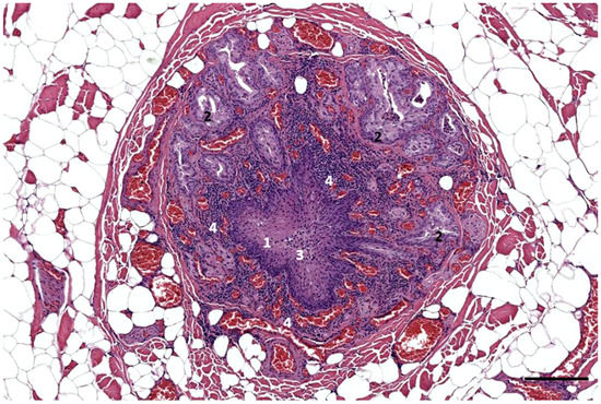 Animals 12 02235 g0a1