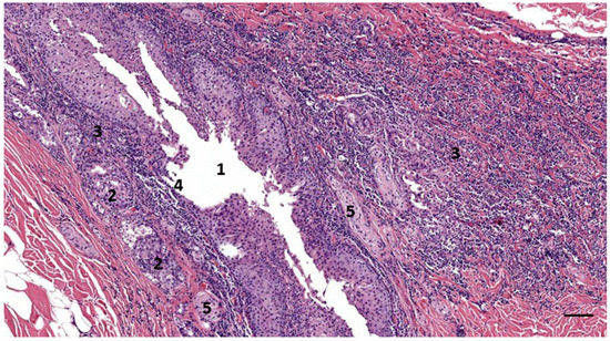 Animals 12 02235 g0a2