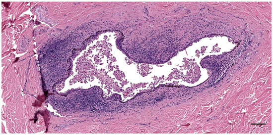 Animals 12 02235 g0a3