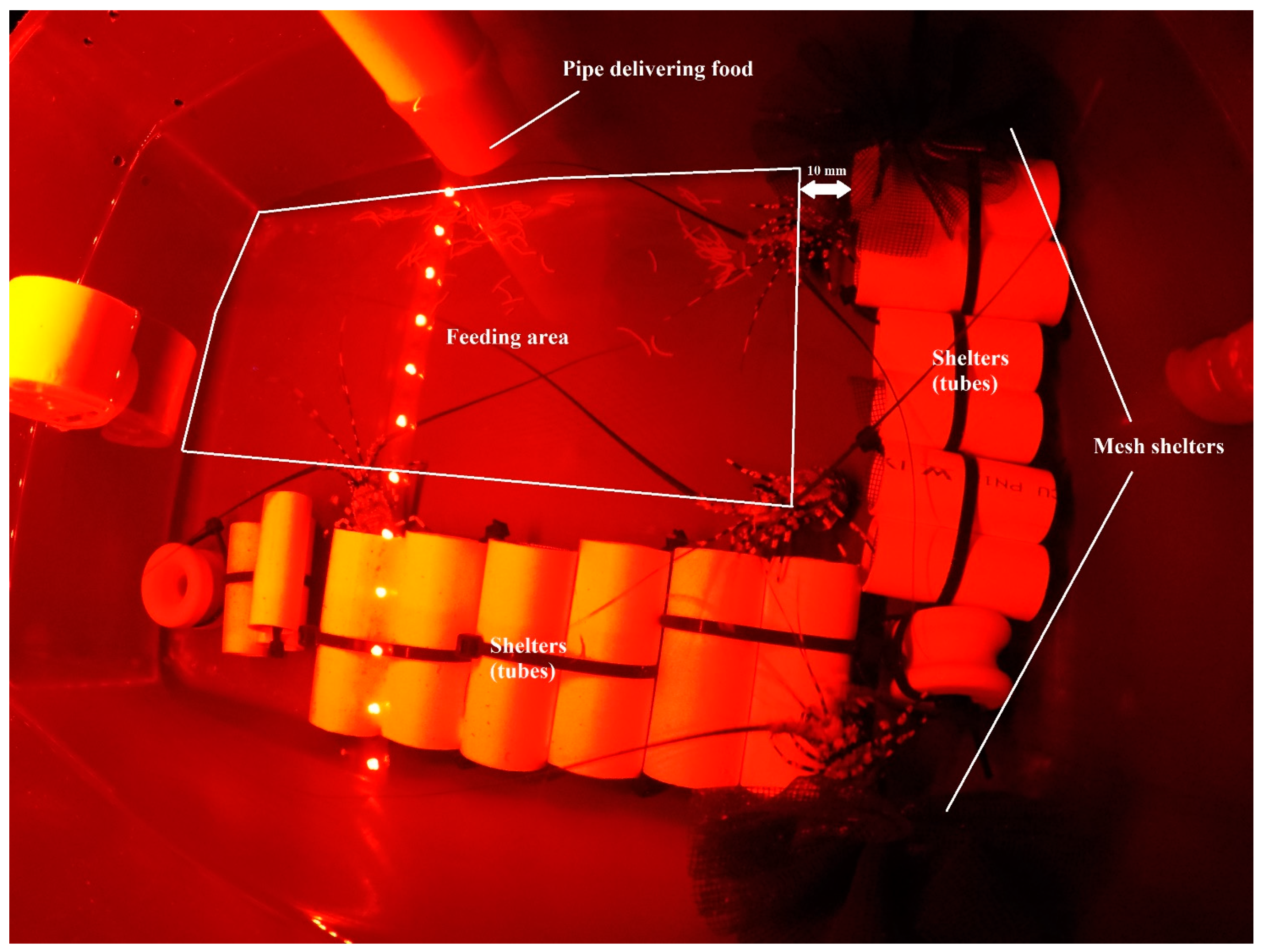 Animals 12 02241 g001