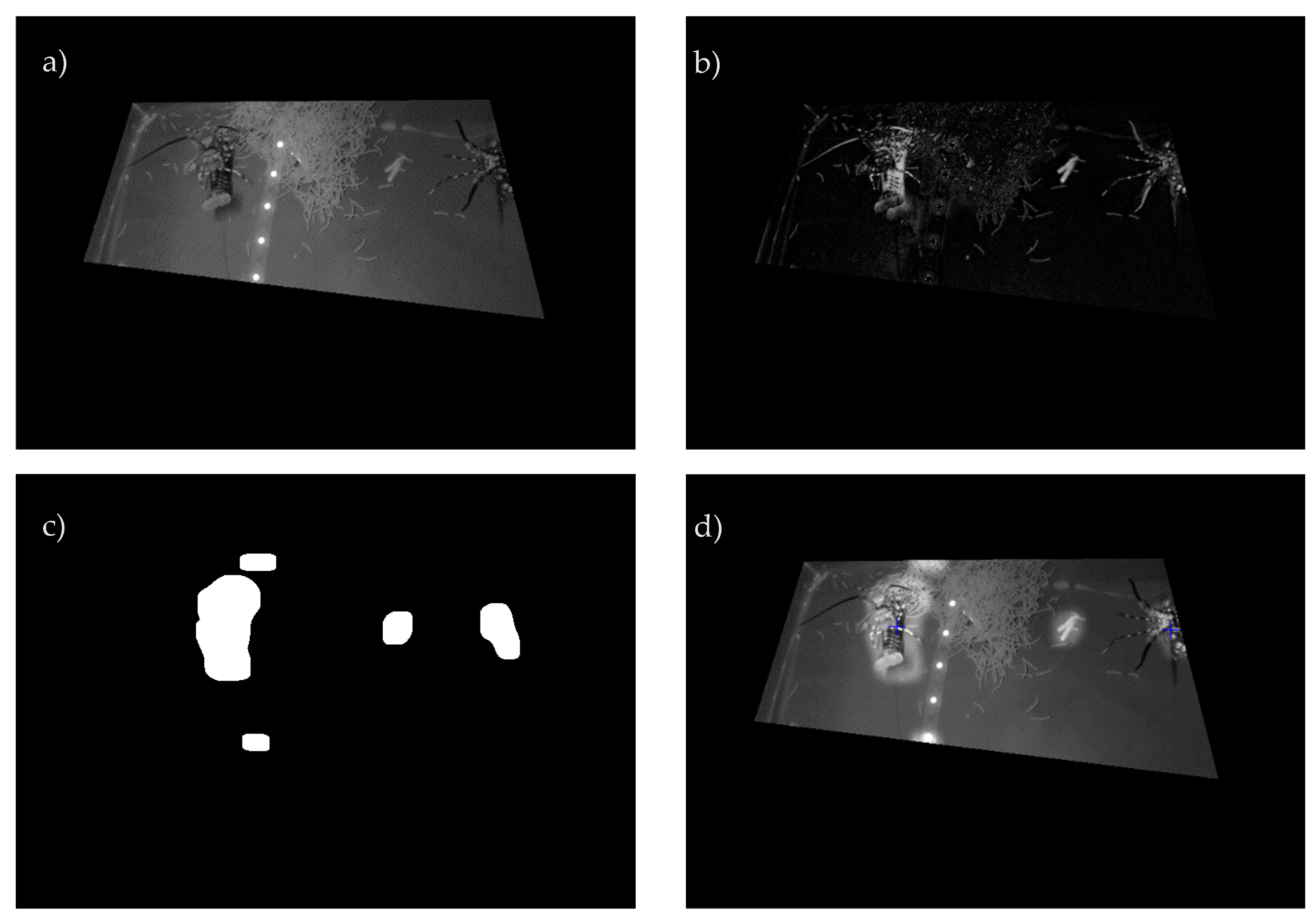 Animals 12 02241 g002