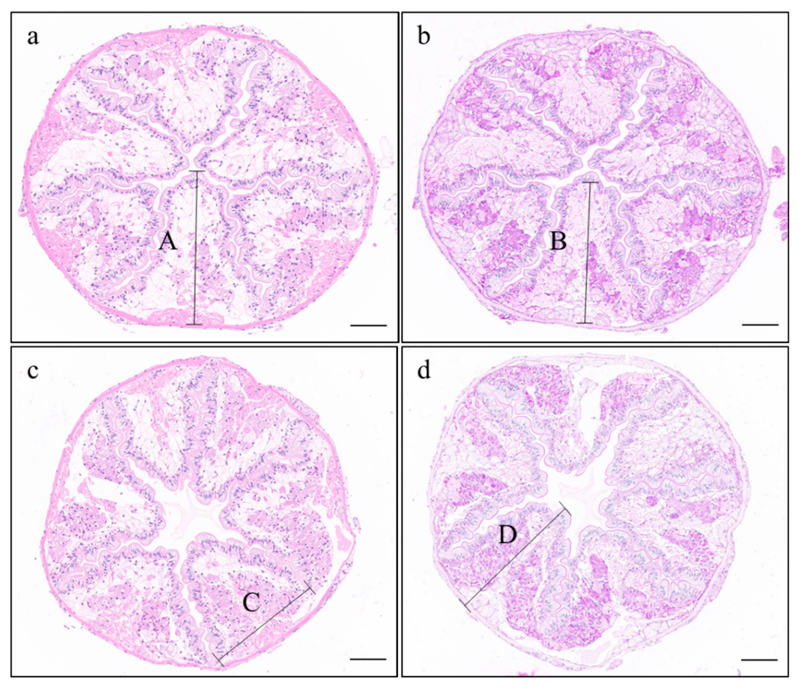 Animals 12 02252 g001
