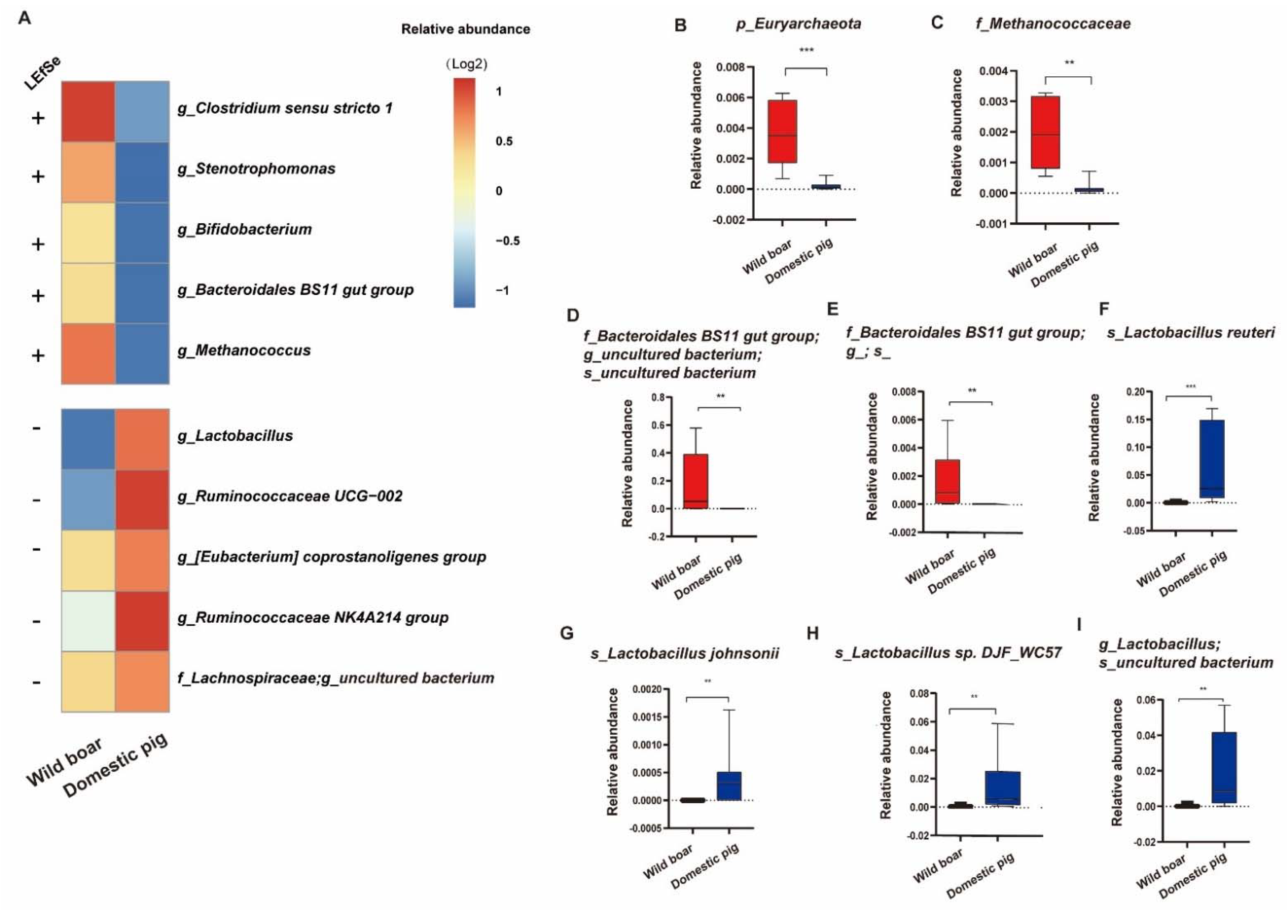 Animals 12 02270 g003