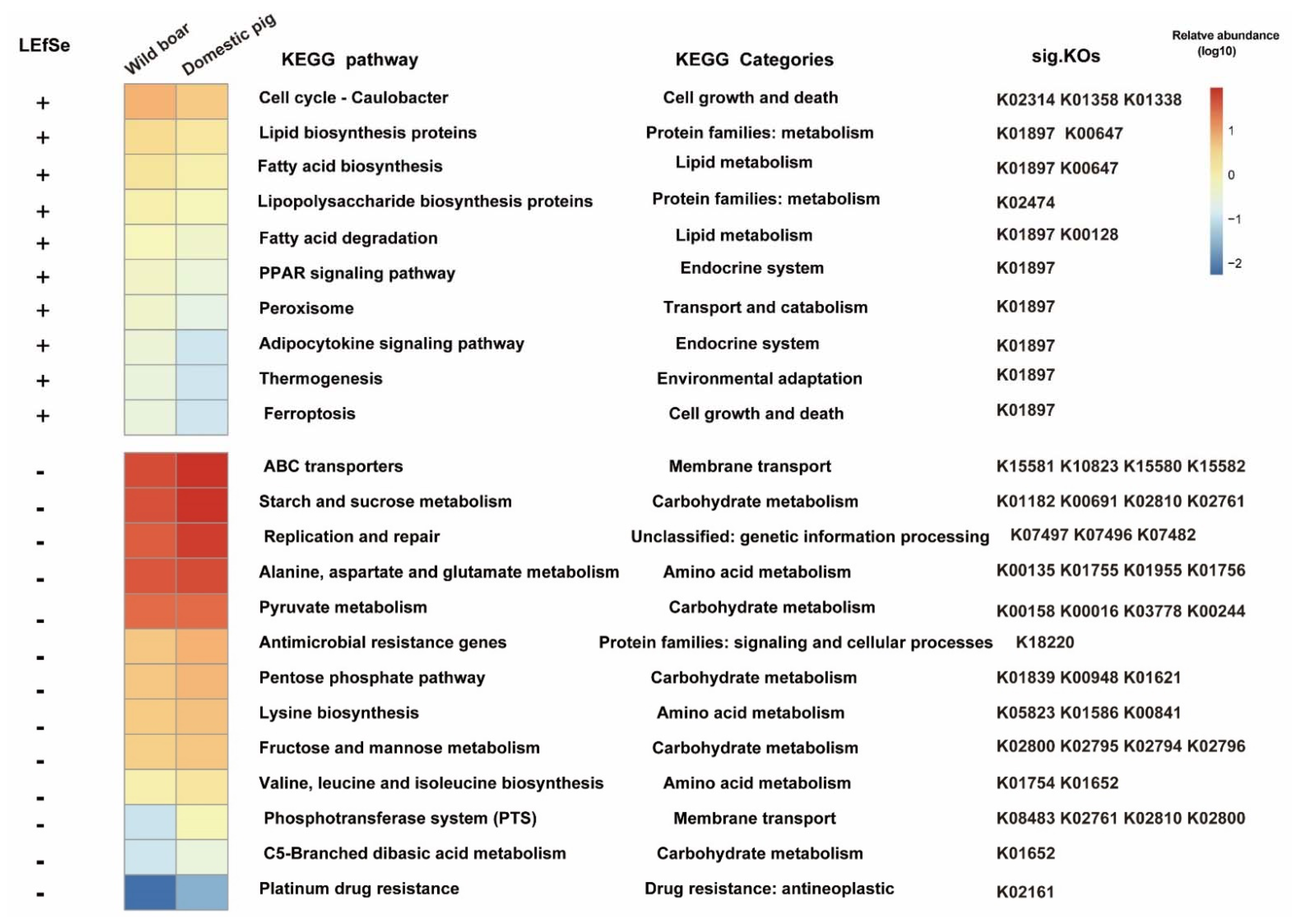 Animals 12 02270 g006