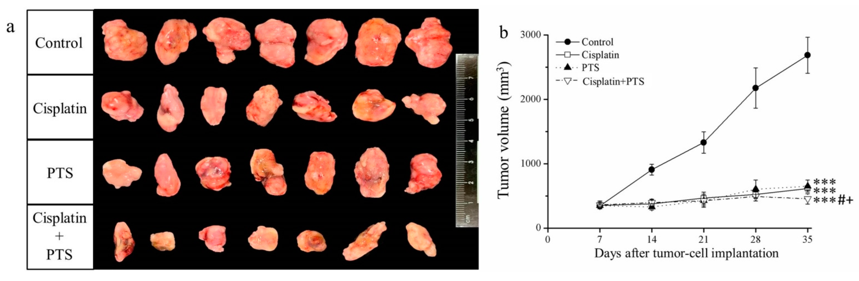 Animals 12 02272 g001