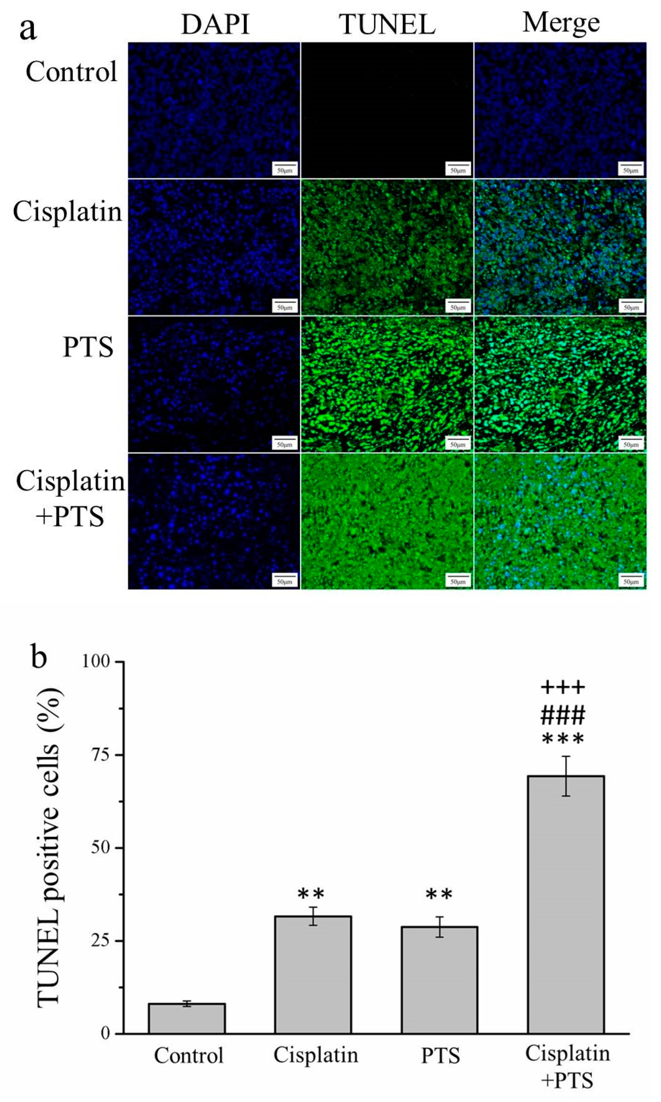 Animals 12 02272 g002