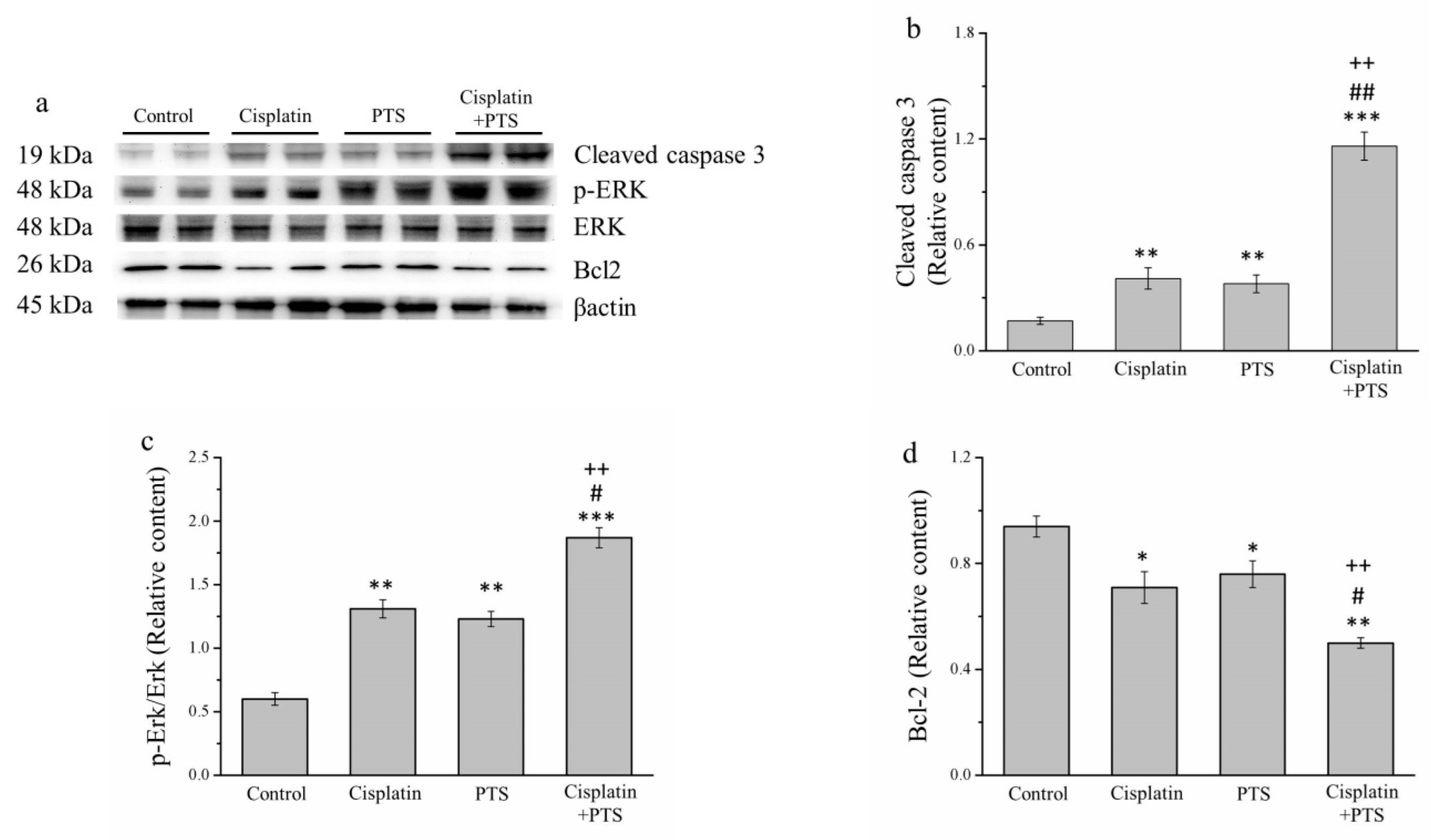 Animals 12 02272 g003