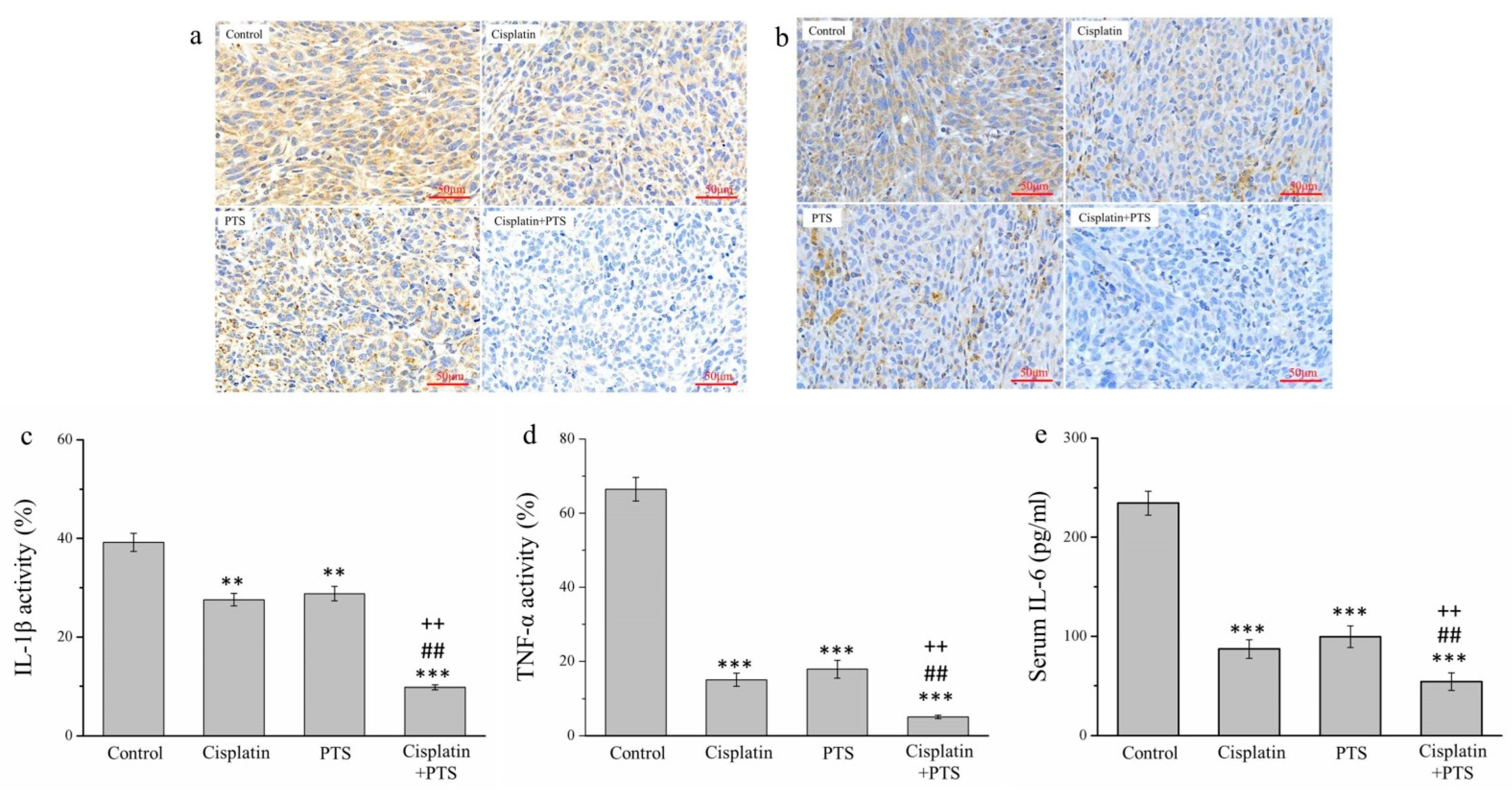 Animals 12 02272 g004