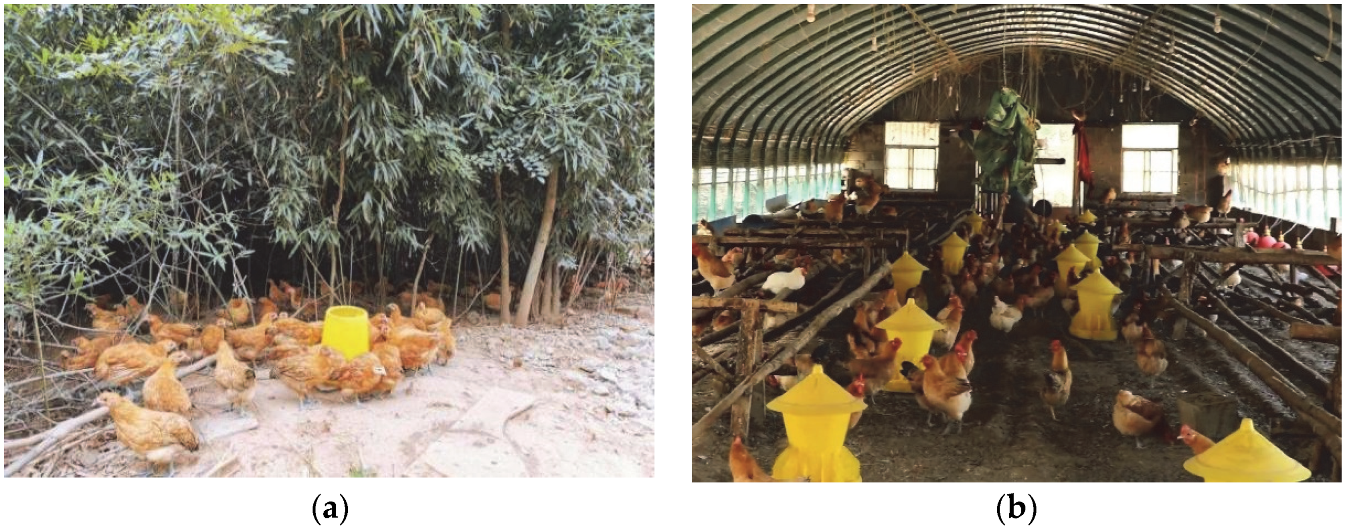 Animals 12 02305 g002