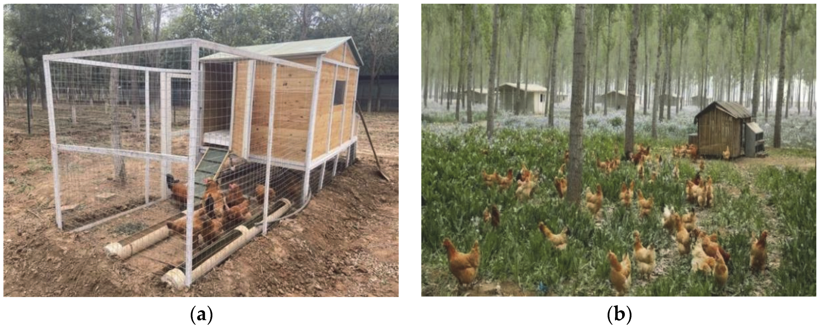 Animals 12 02305 g003