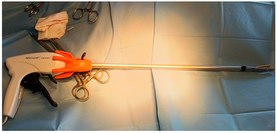 Animals 12 02308 g001