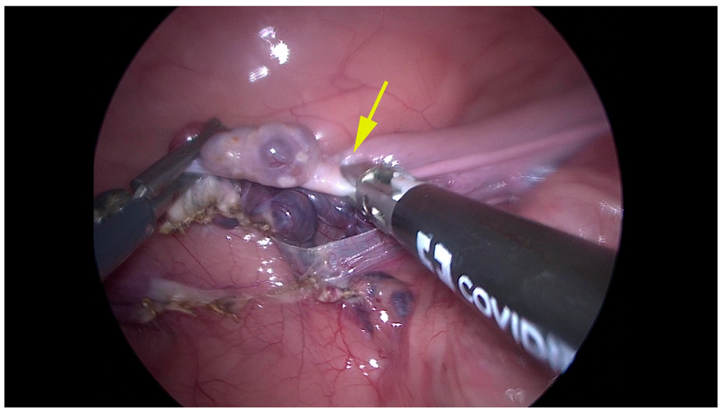 Animals 12 02308 g003