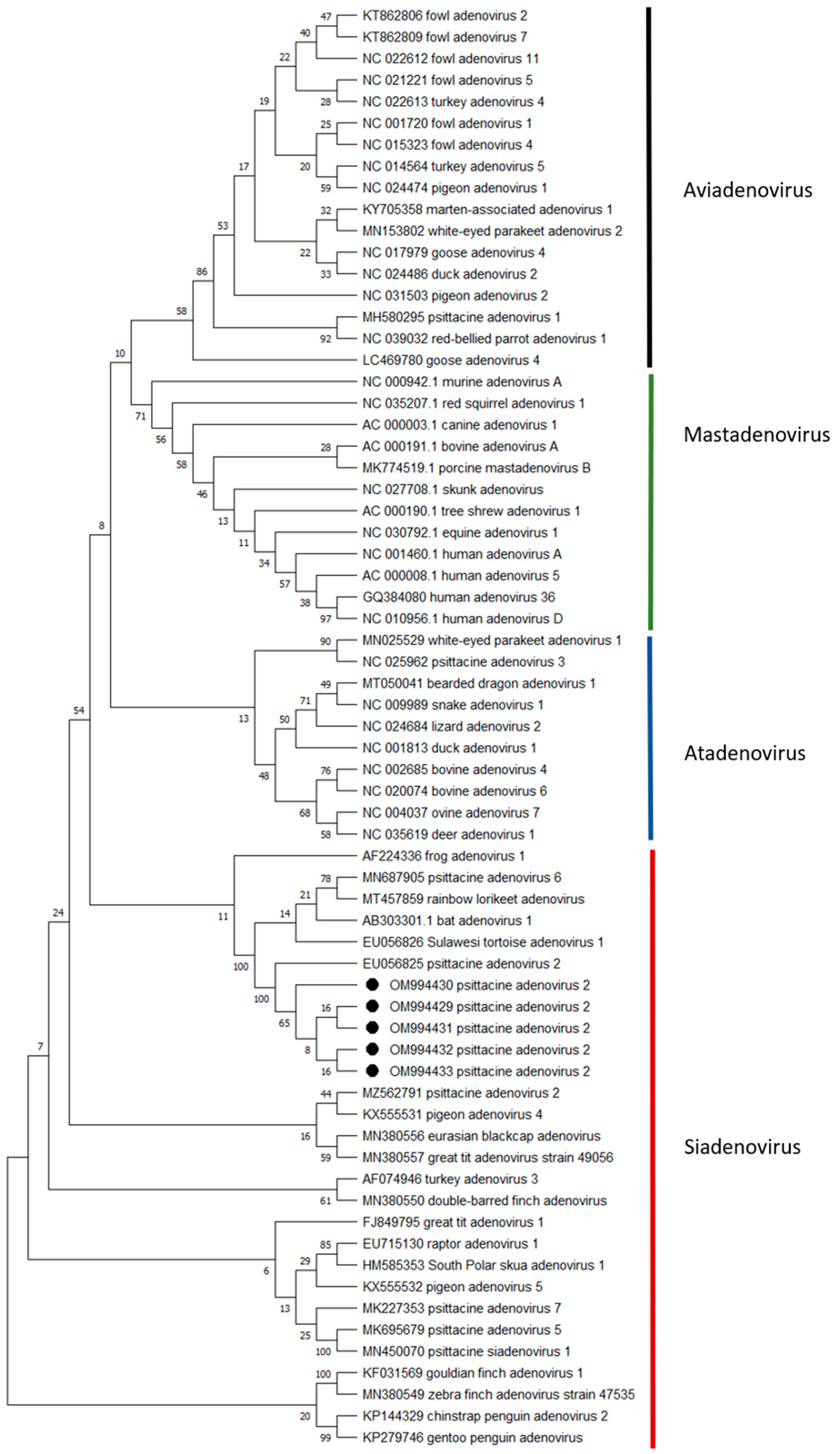 Animals 12 02316 g005