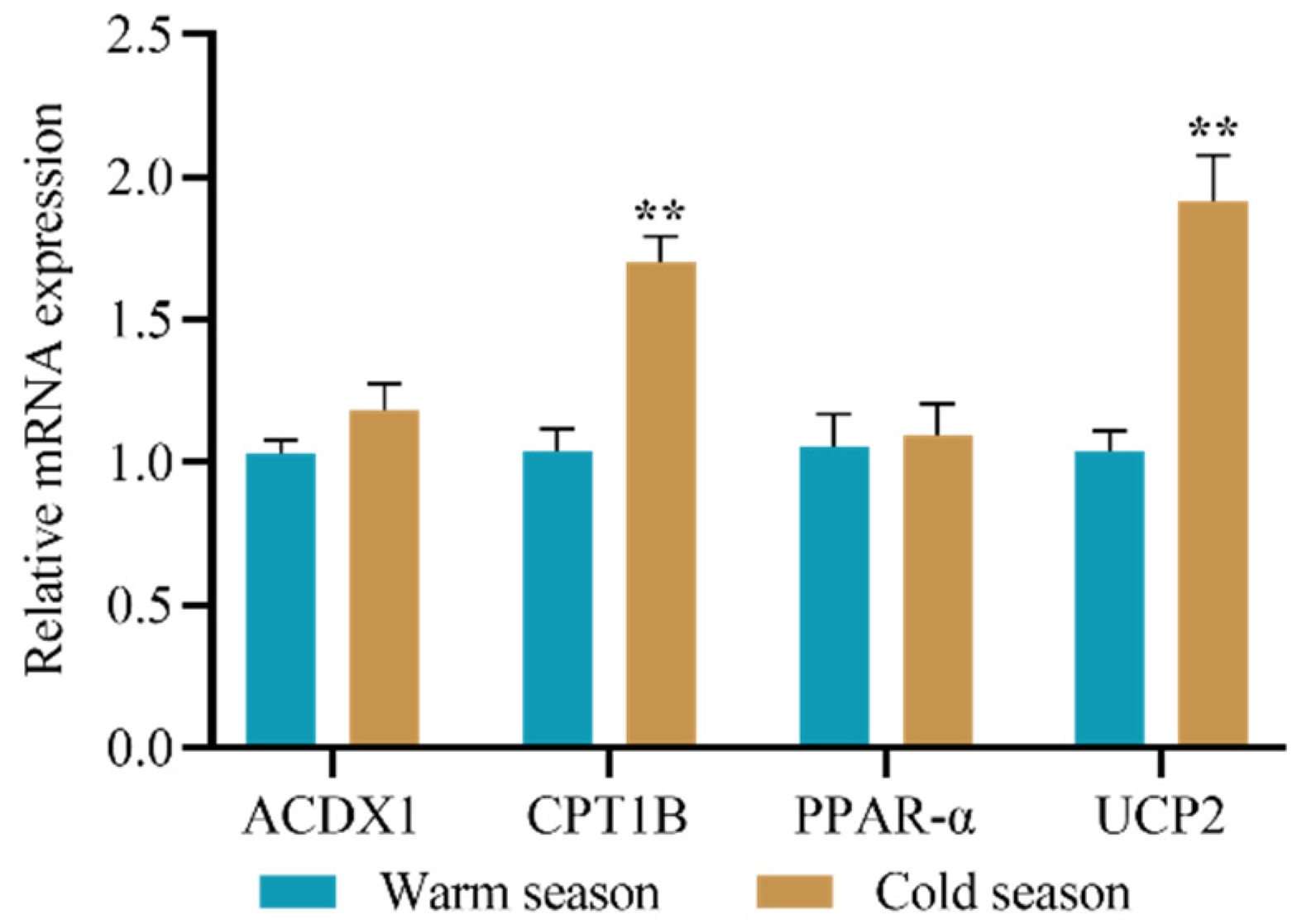 Animals 12 02332 g001
