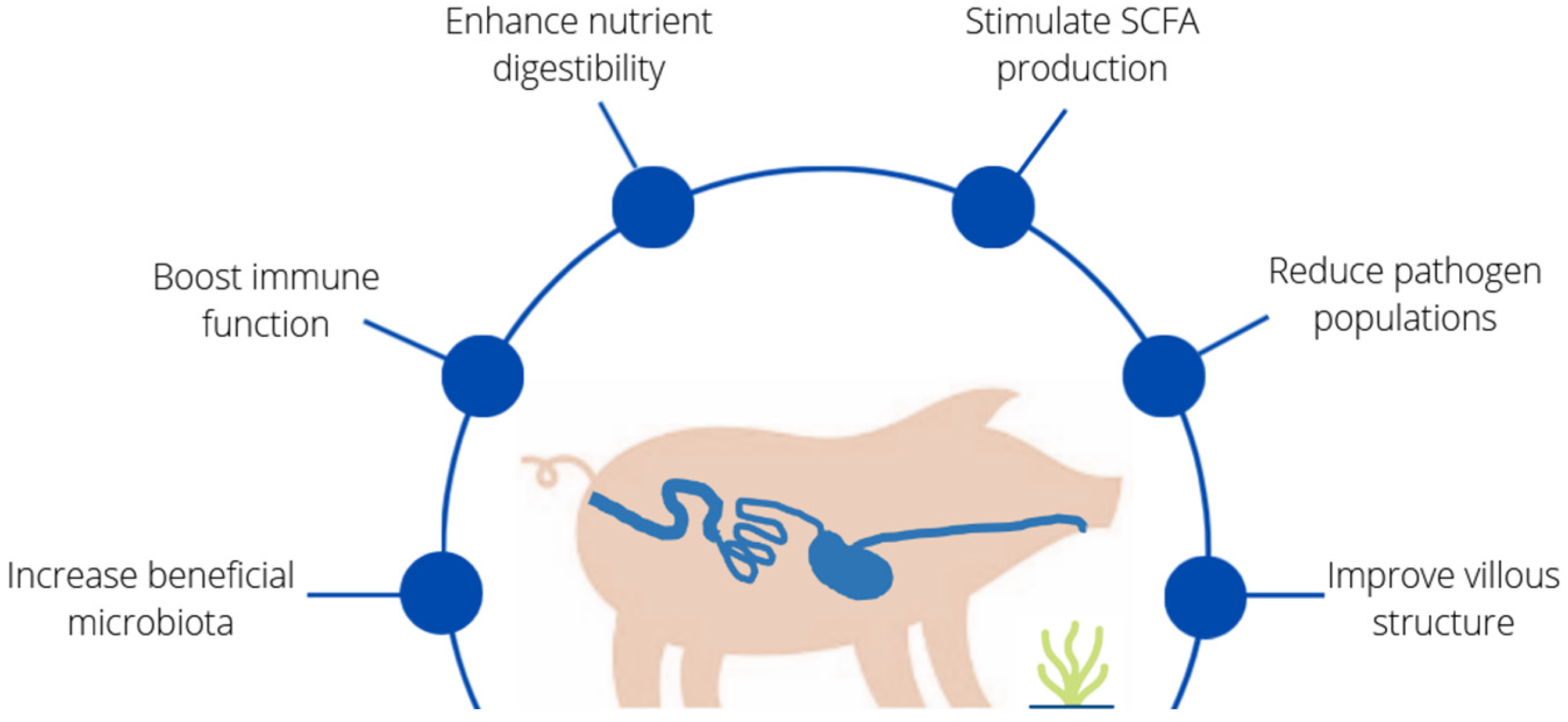 Animals 12 02346 g002