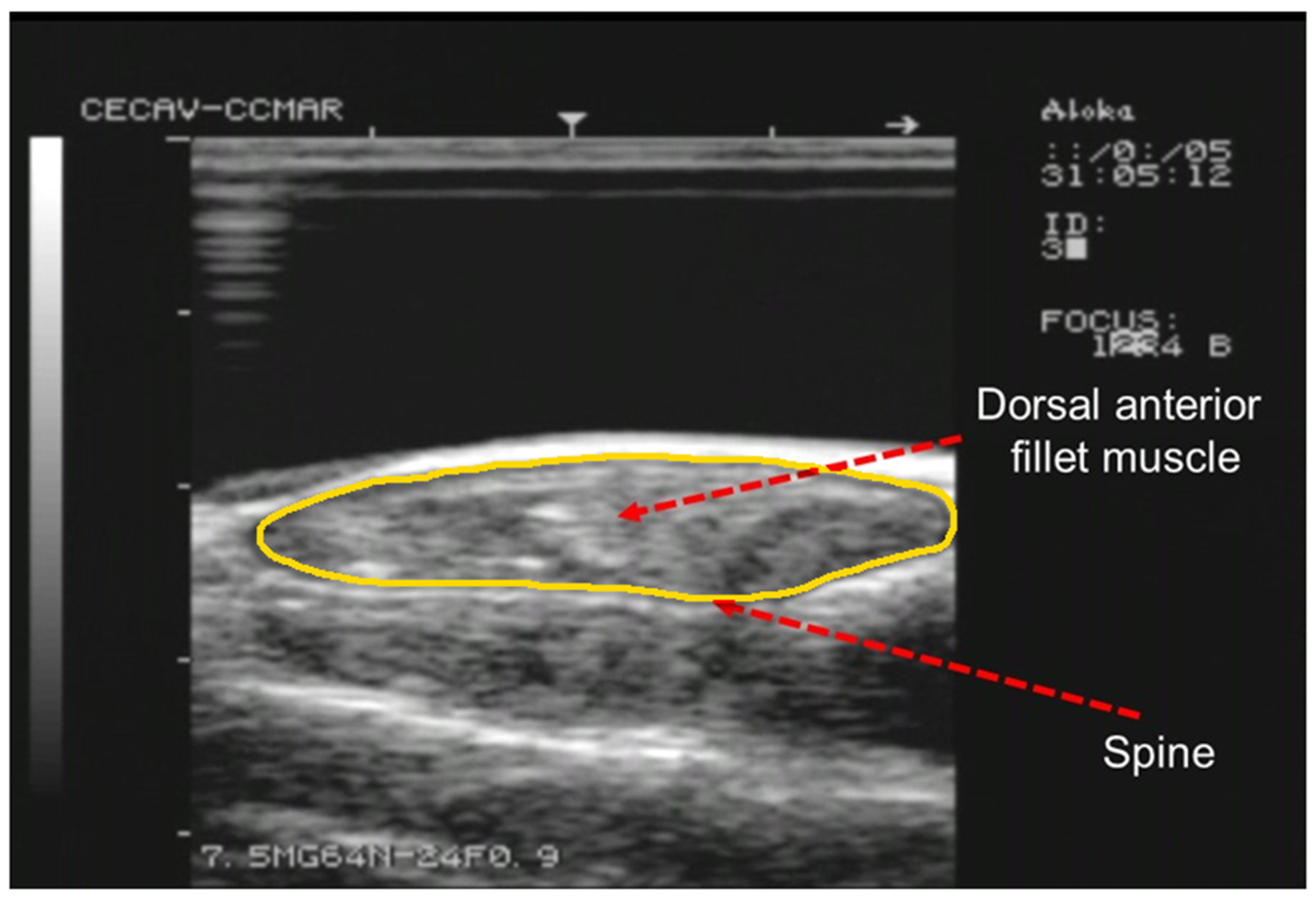 Animals 12 02357 g001