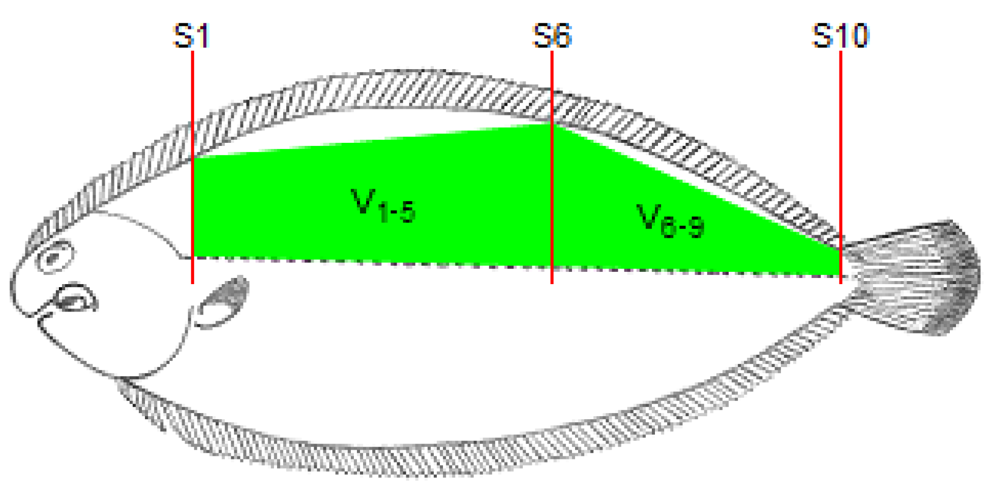 Animals 12 02357 g002a