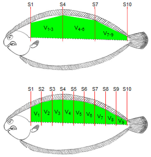 Animals 12 02357 g002b 550