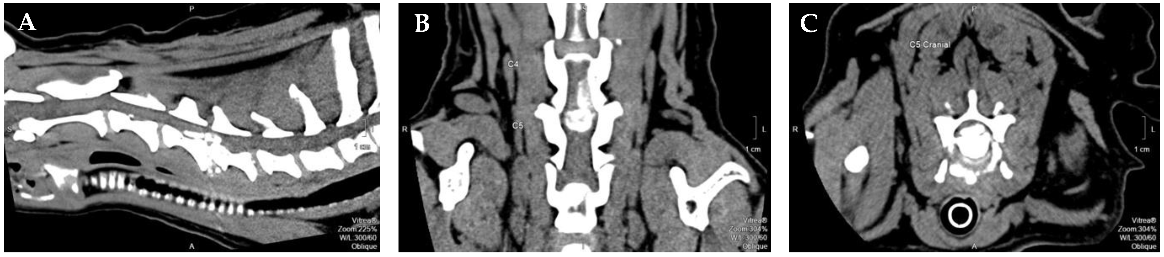 Animals 12 02369 g001