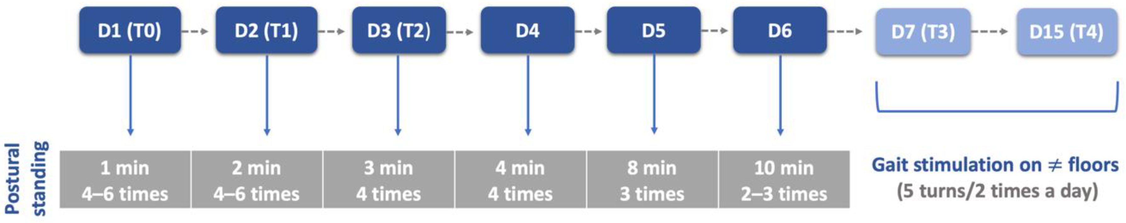 Animals 12 02369 g005