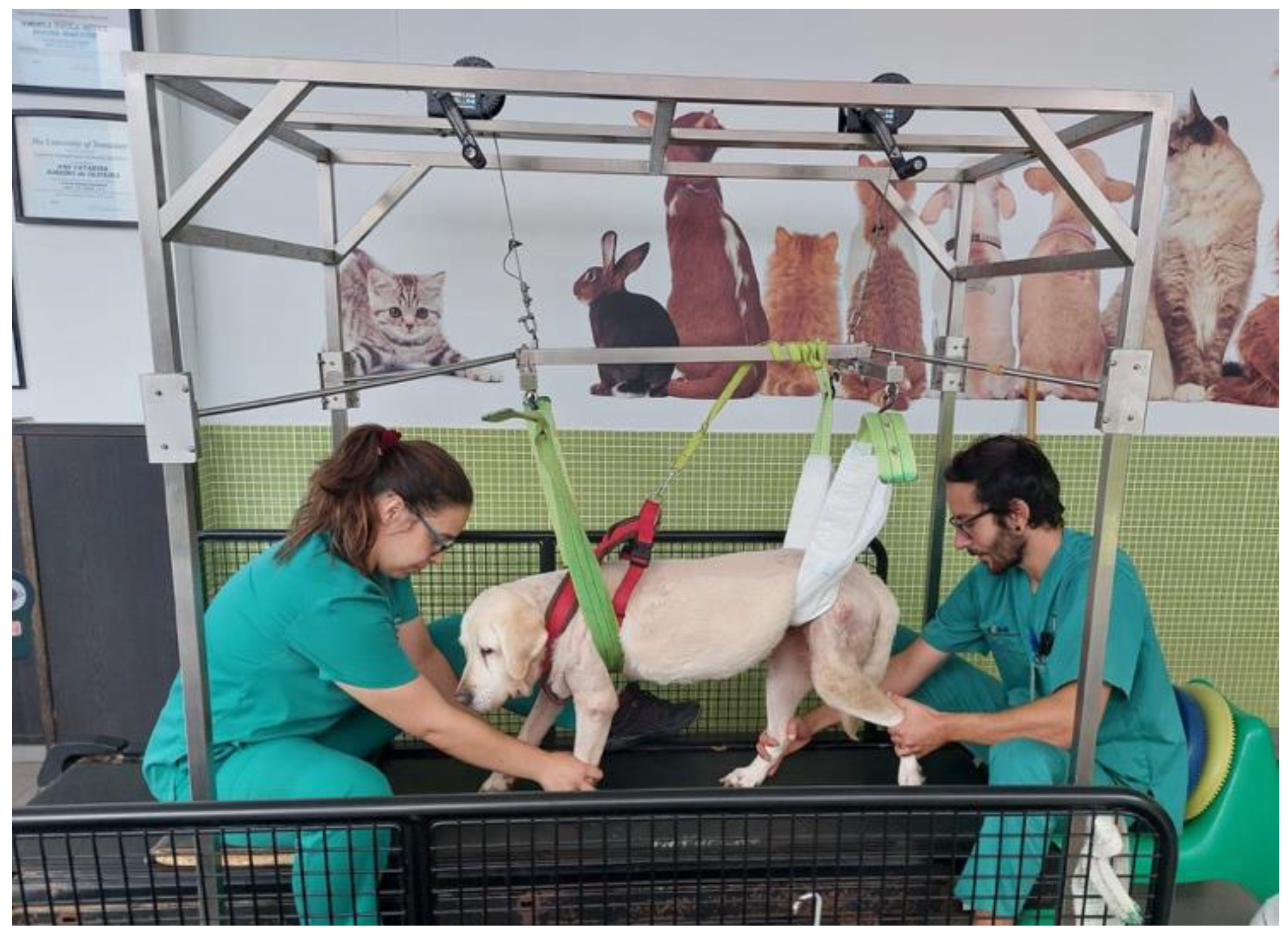 Animals 12 02369 g007