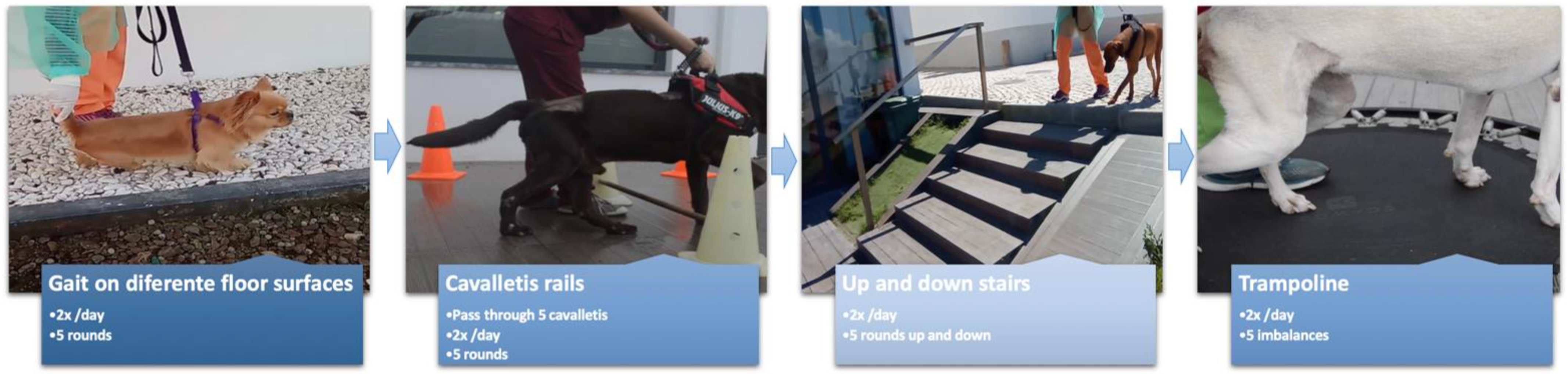 Animals 12 02369 g009