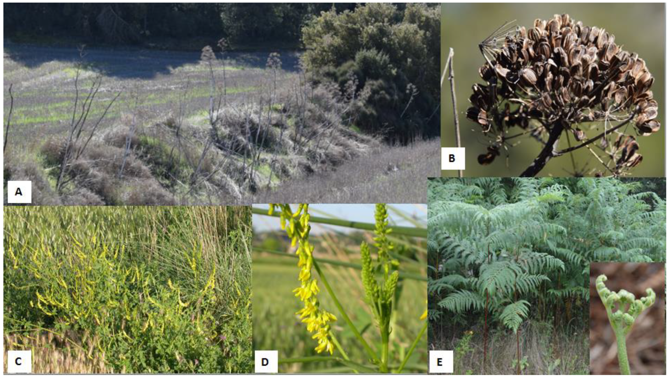 Animals 12 02373 g001