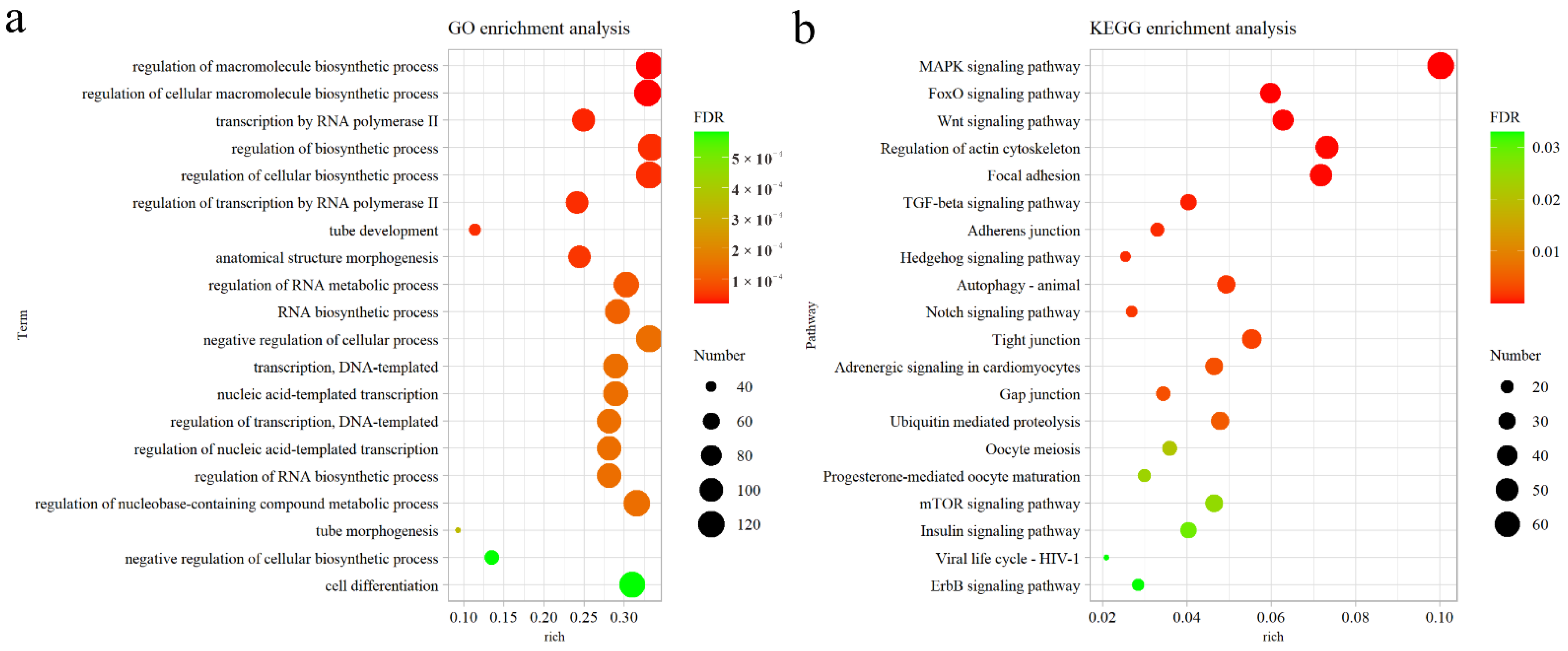 Animals 12 02376 g004