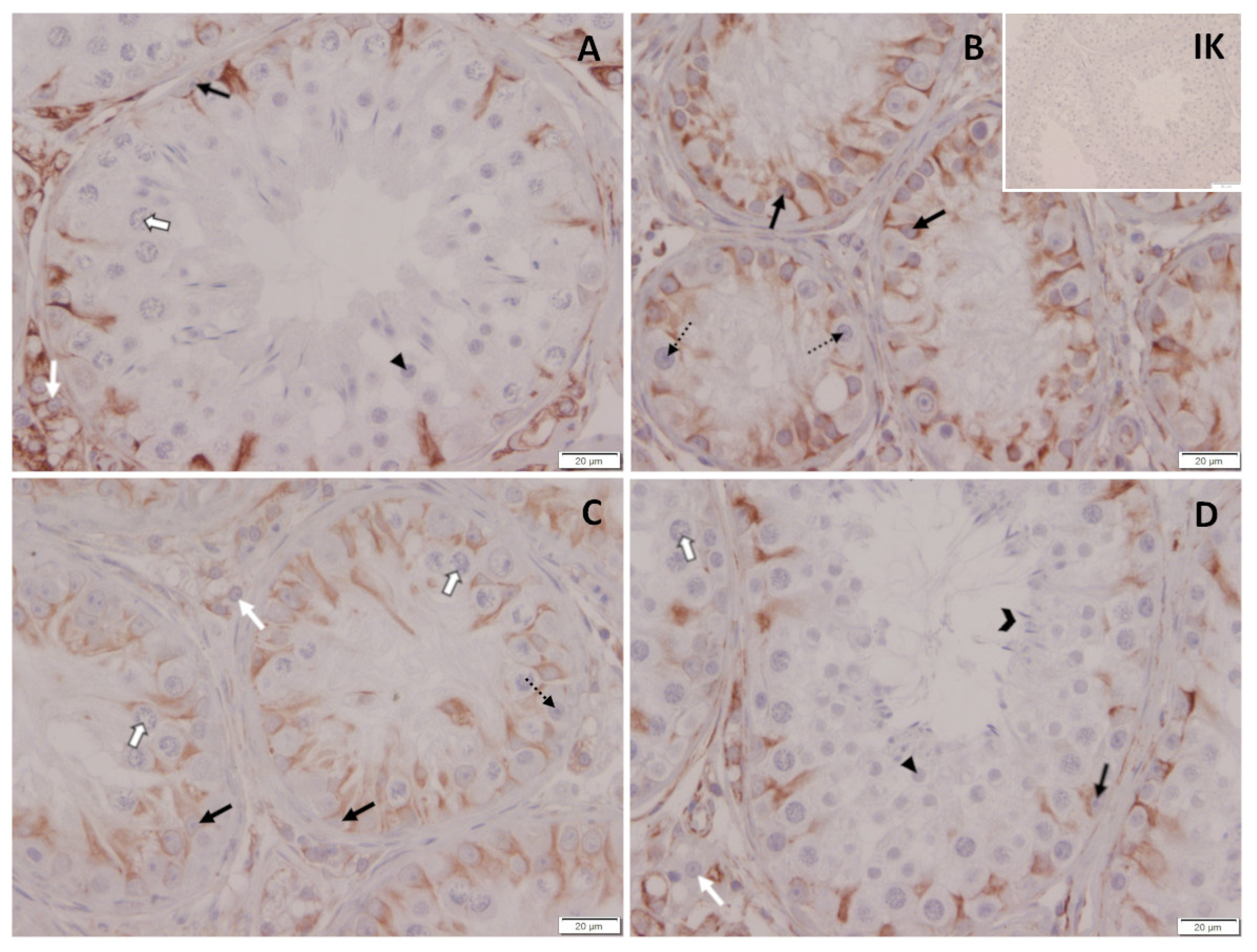 Animals 12 02379 g013