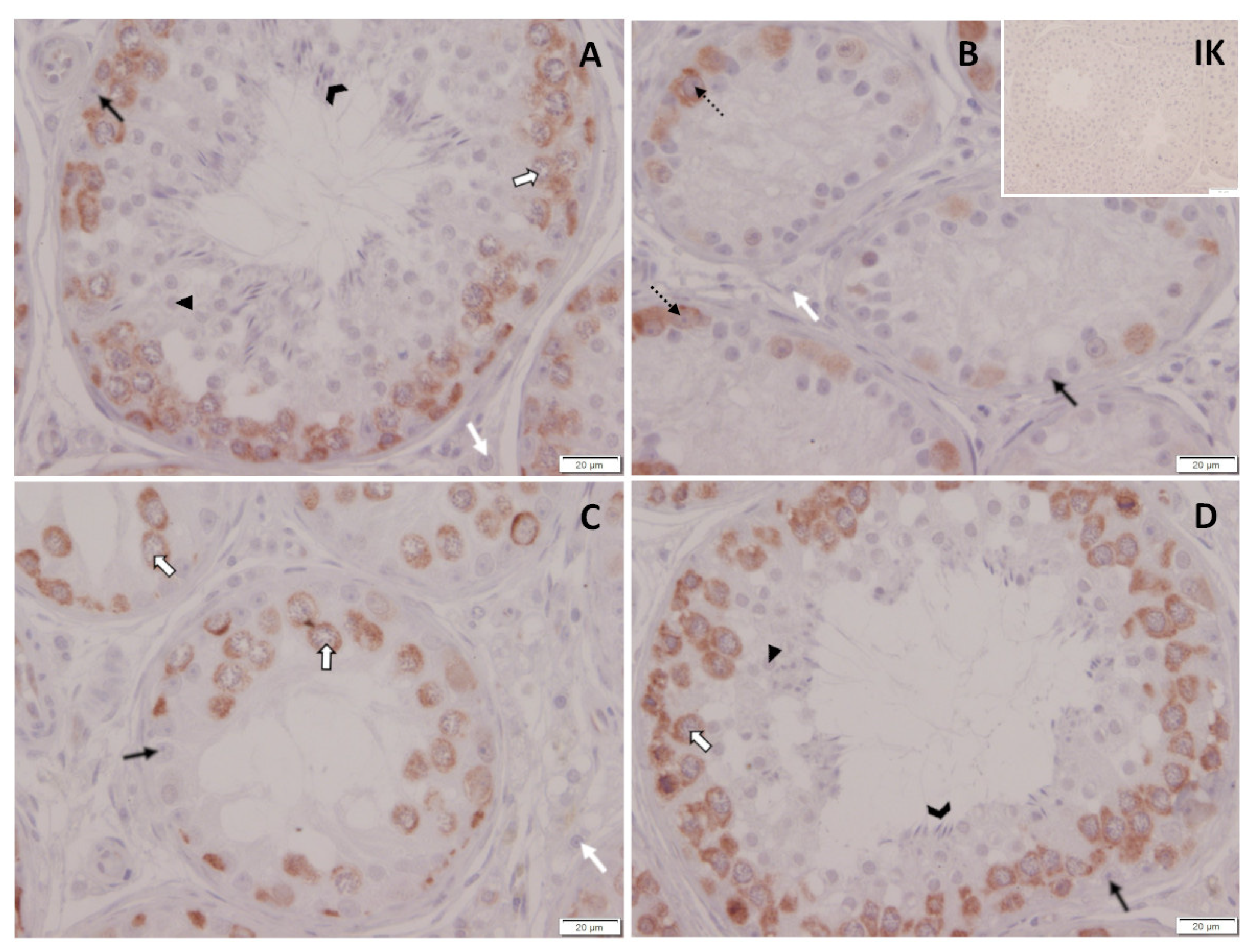 Animals 12 02379 g014