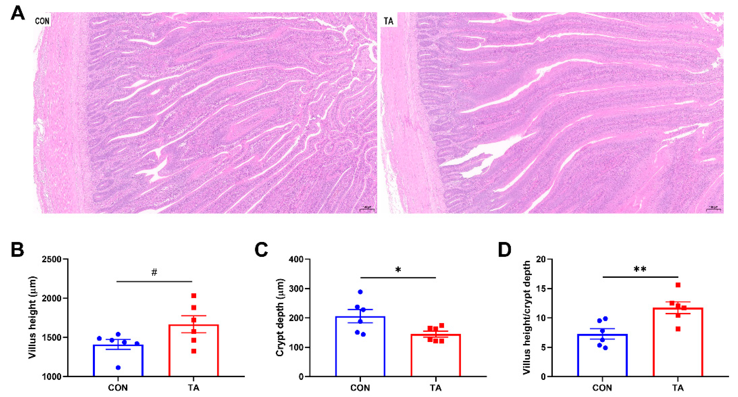 Animals 12 02397 g002