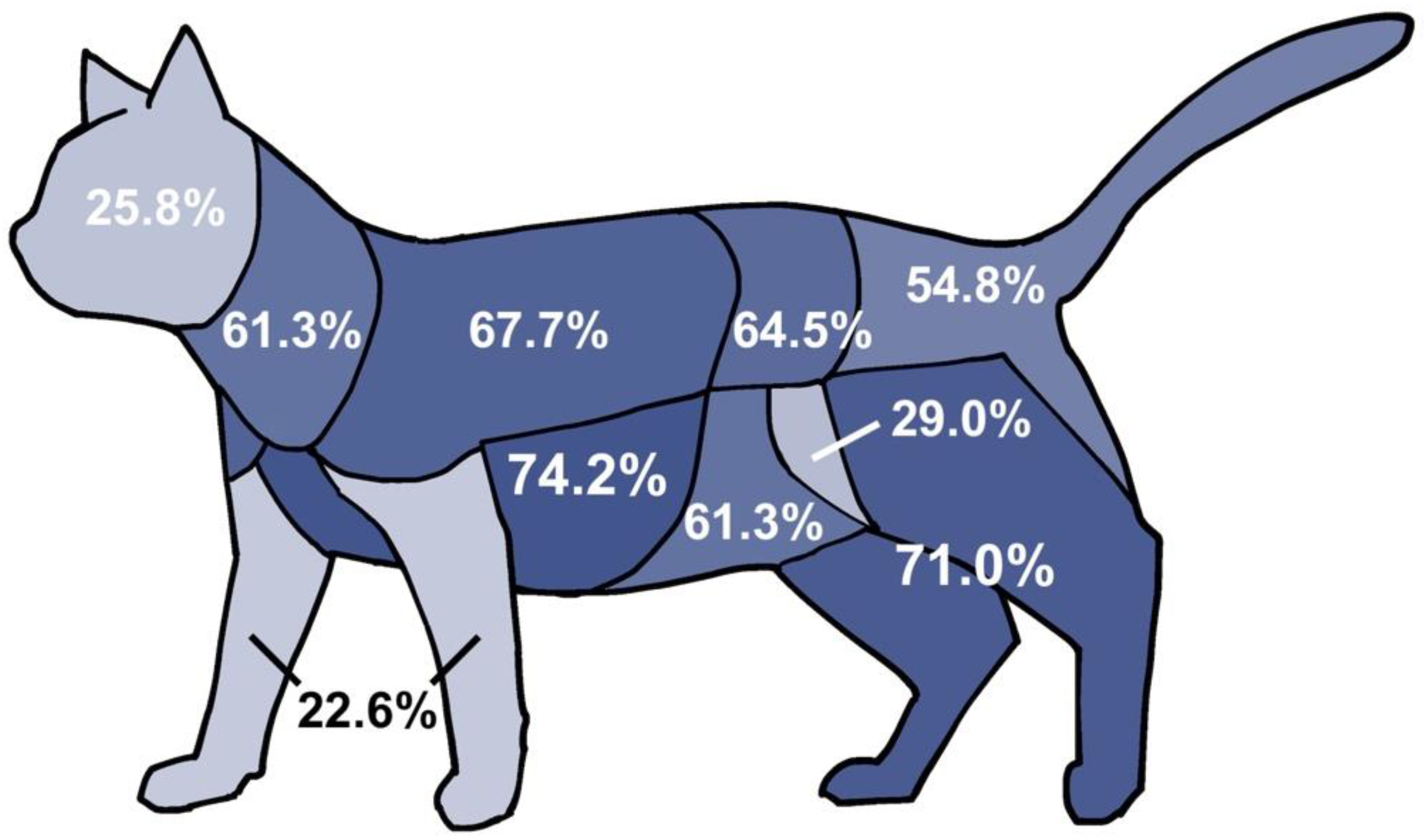 Animals 12 02404 g001