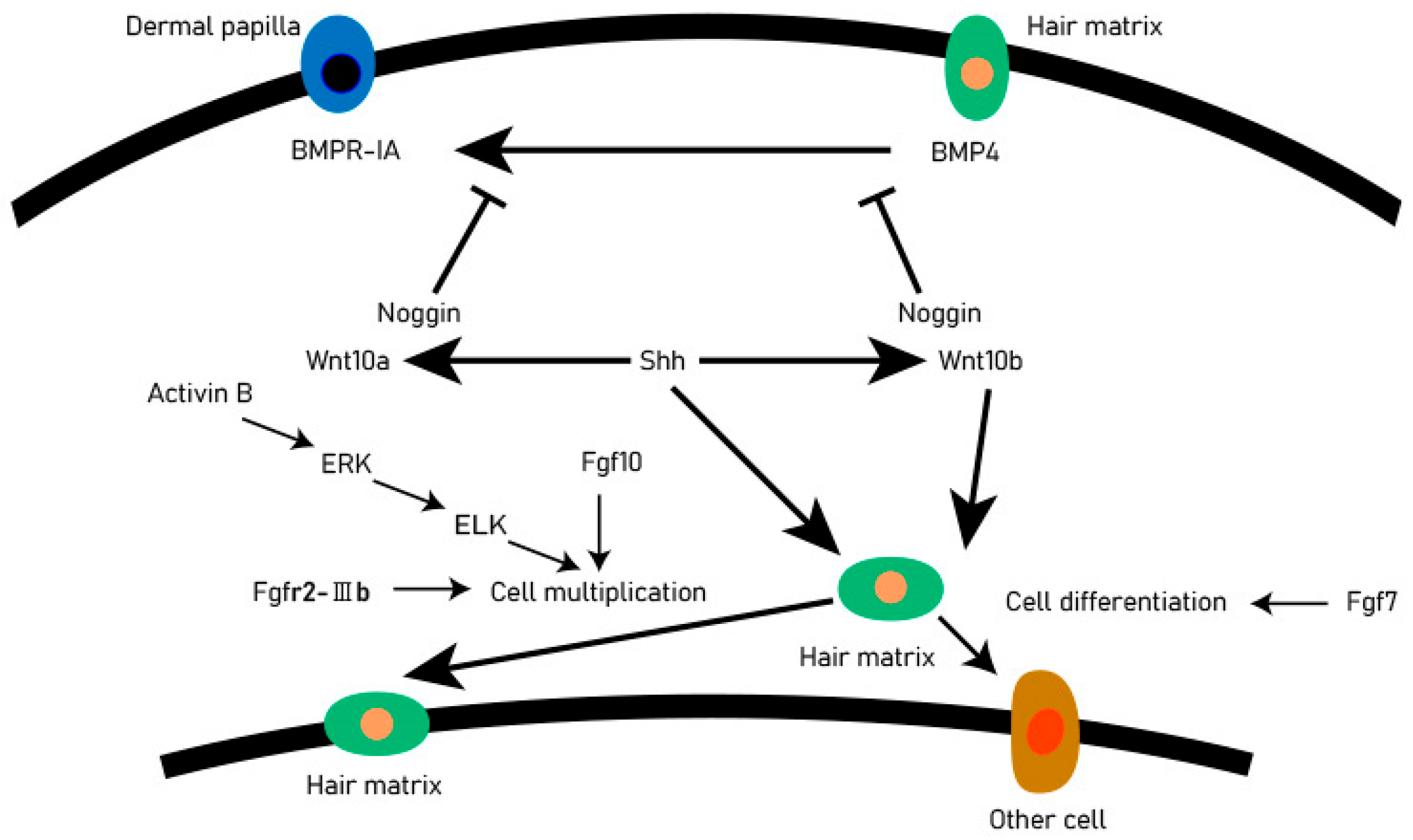 Animals 12 02409 g002