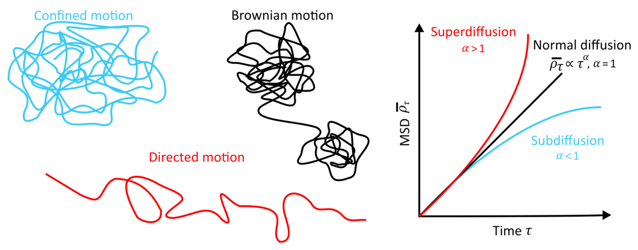 Animals 12 02412 g002