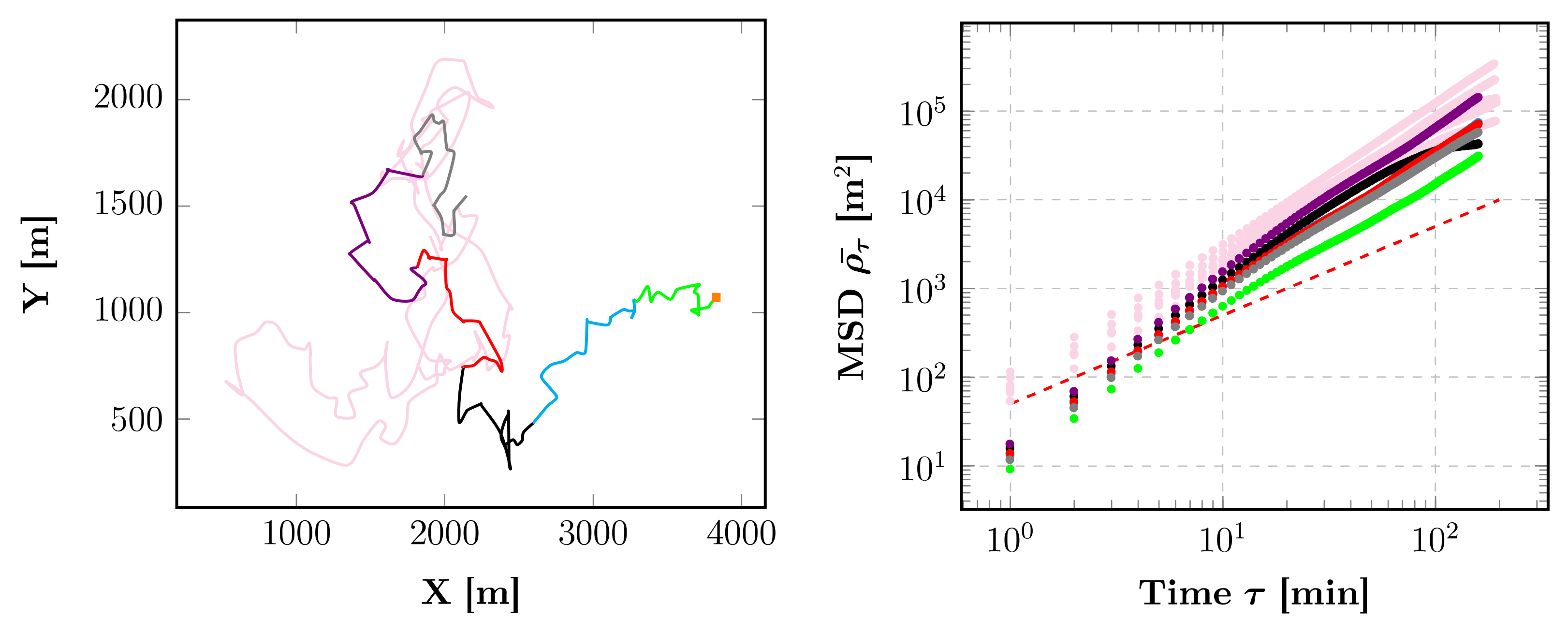 Animals 12 02412 g011
