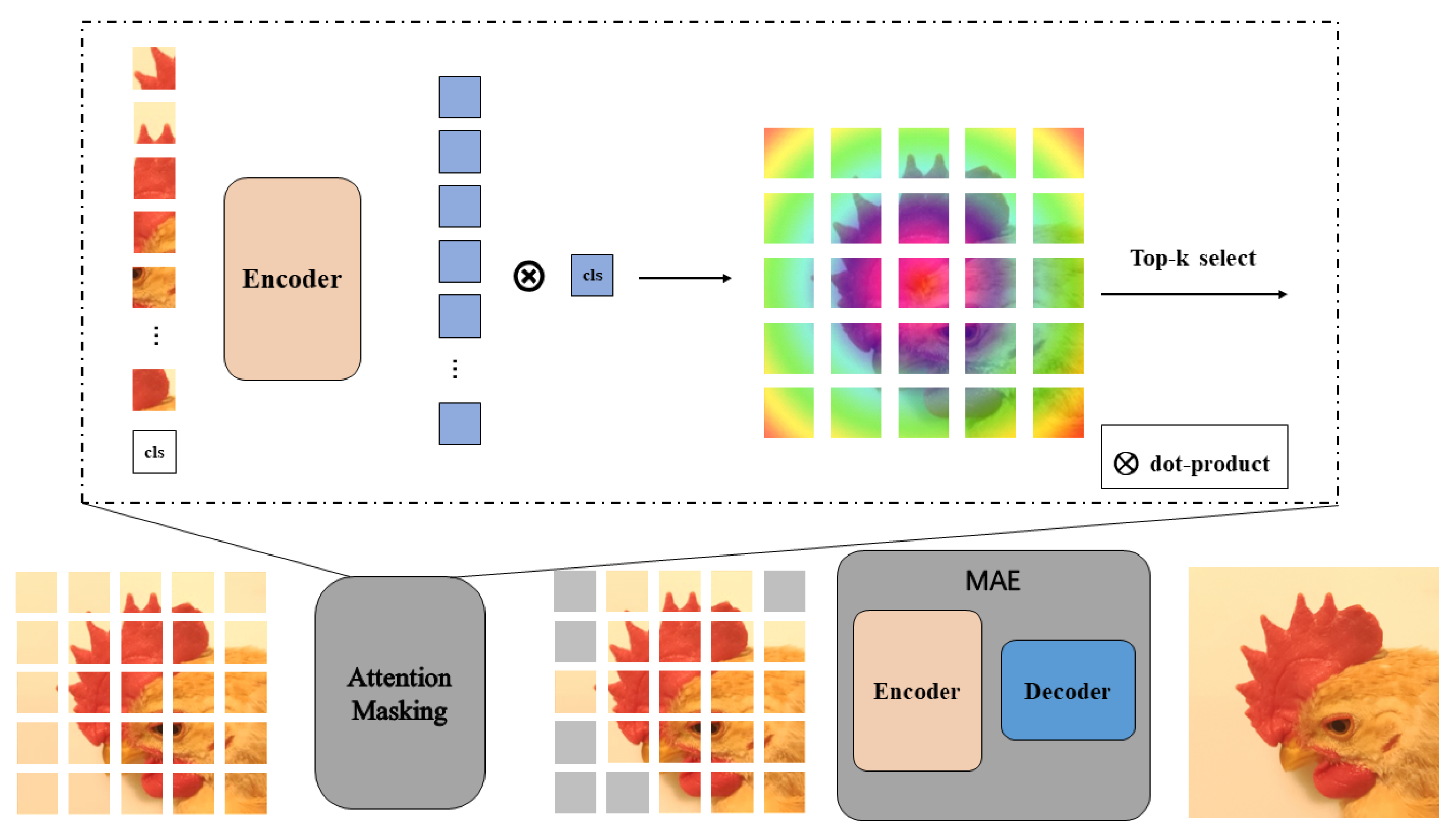 Animals 12 02425 g004