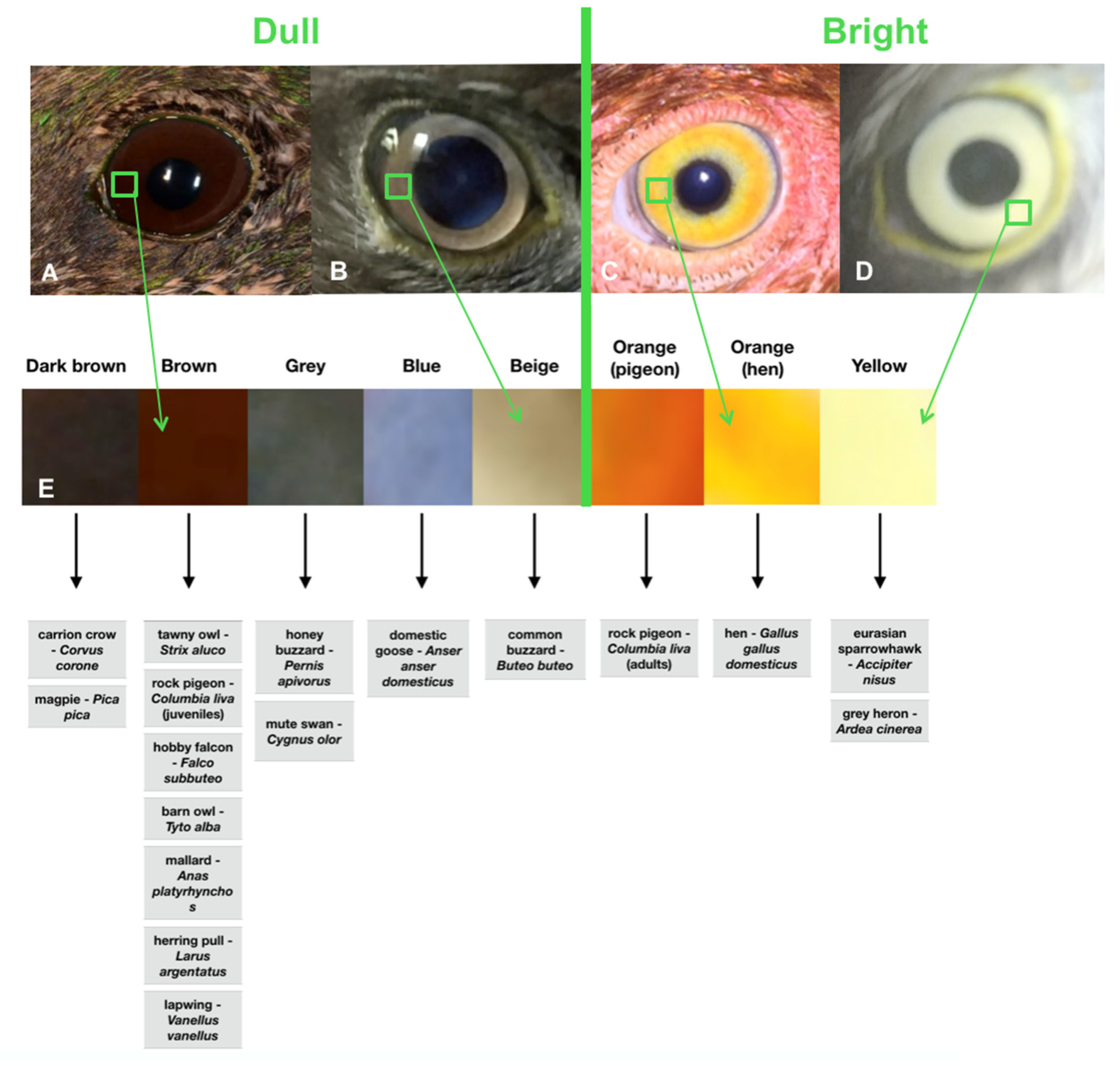 Animals 12 02429 g002