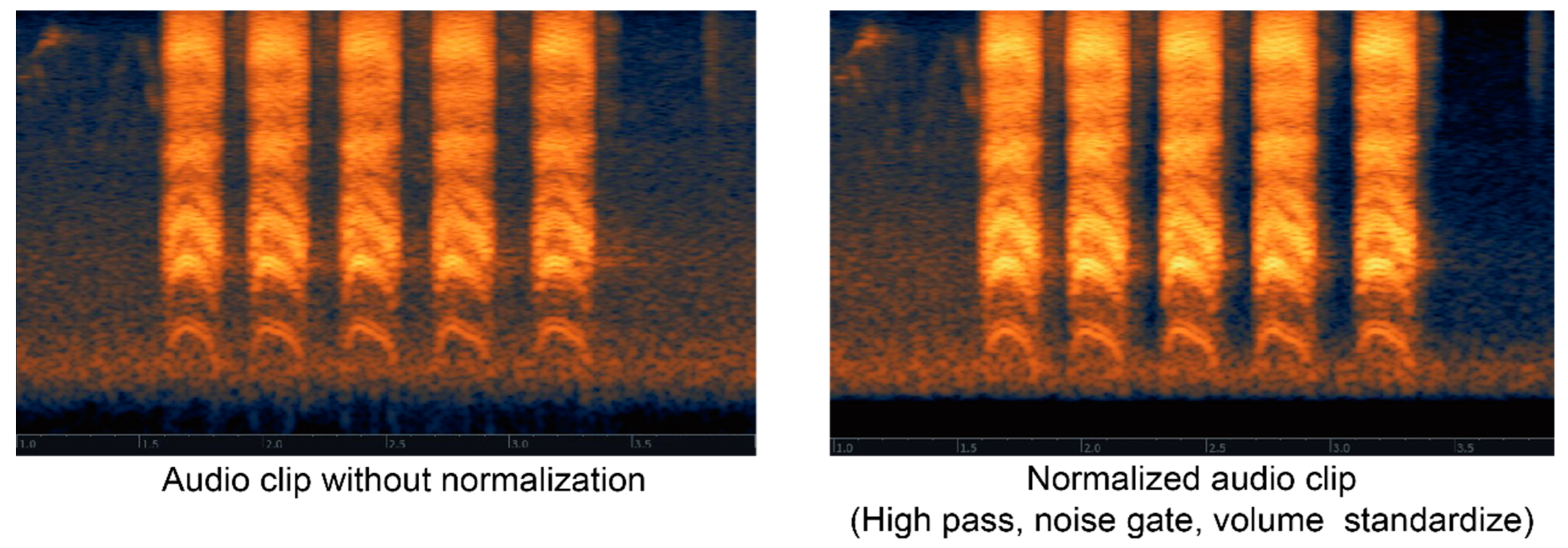 Animals 12 02434 g002