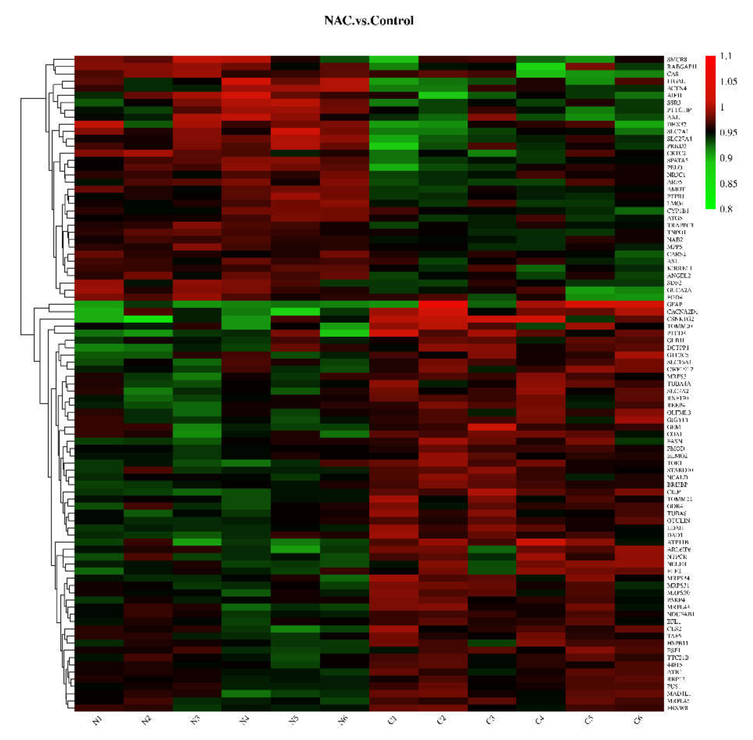 Animals 12 02439 g002