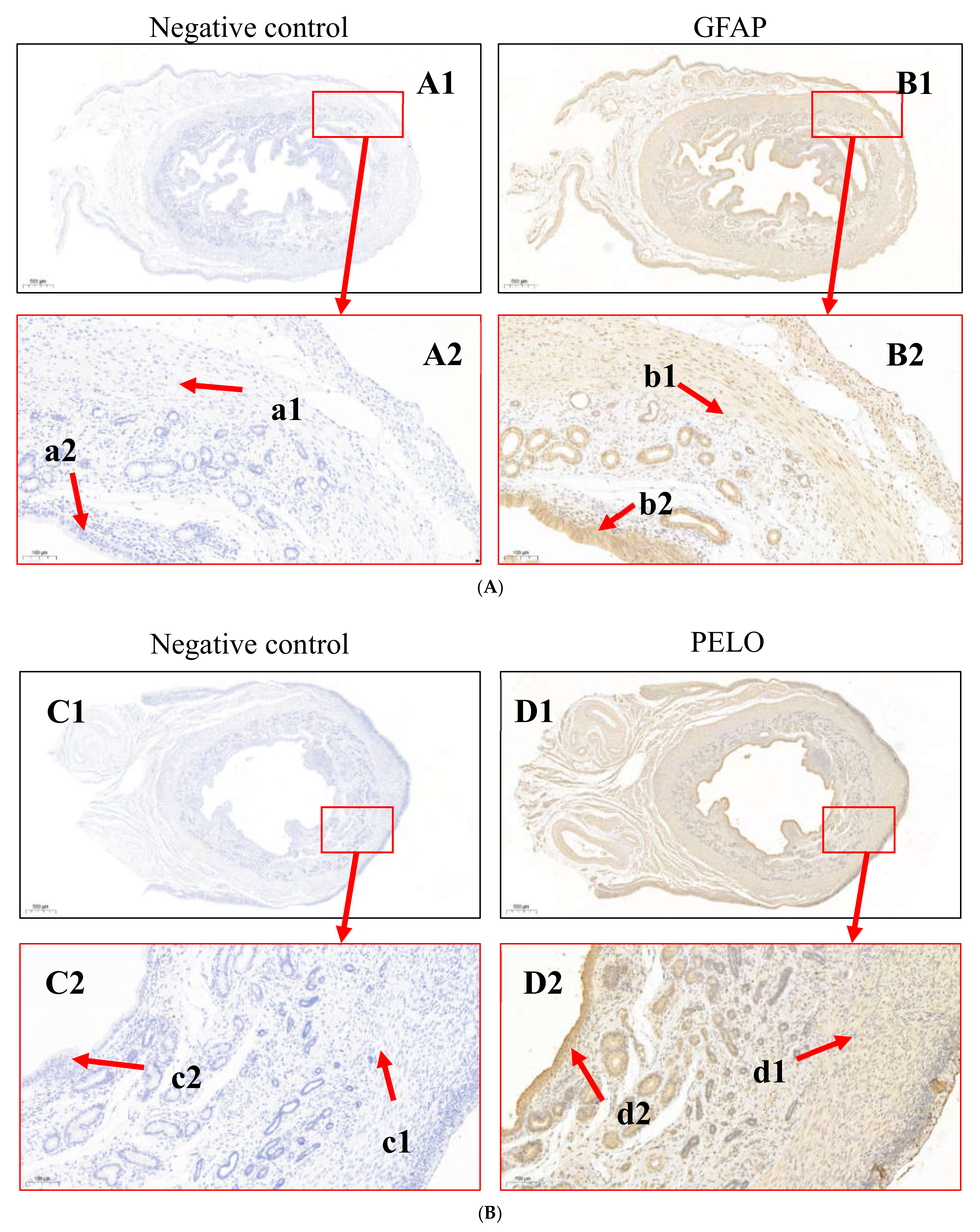 Animals 12 02439 g006