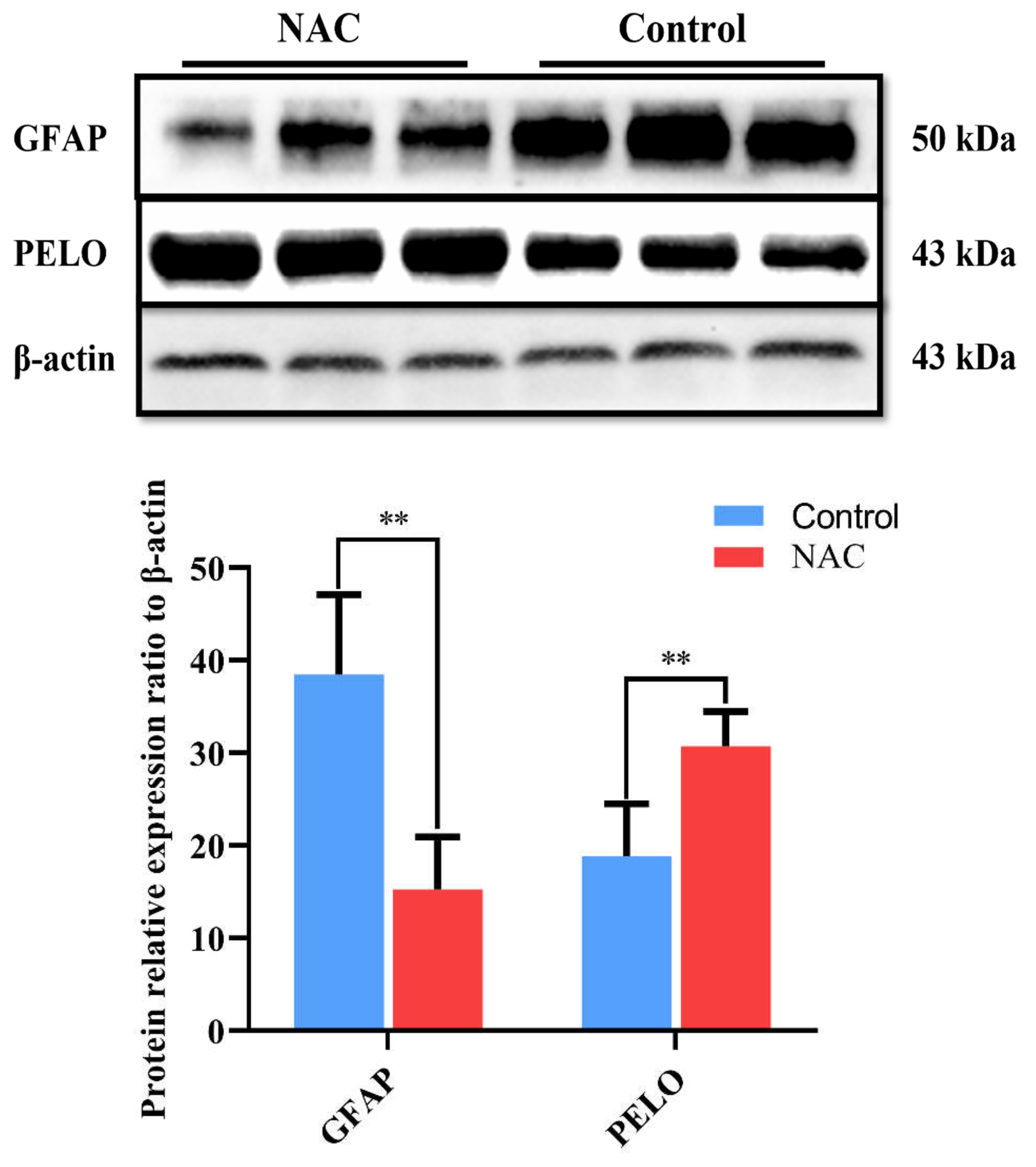 Animals 12 02439 g007