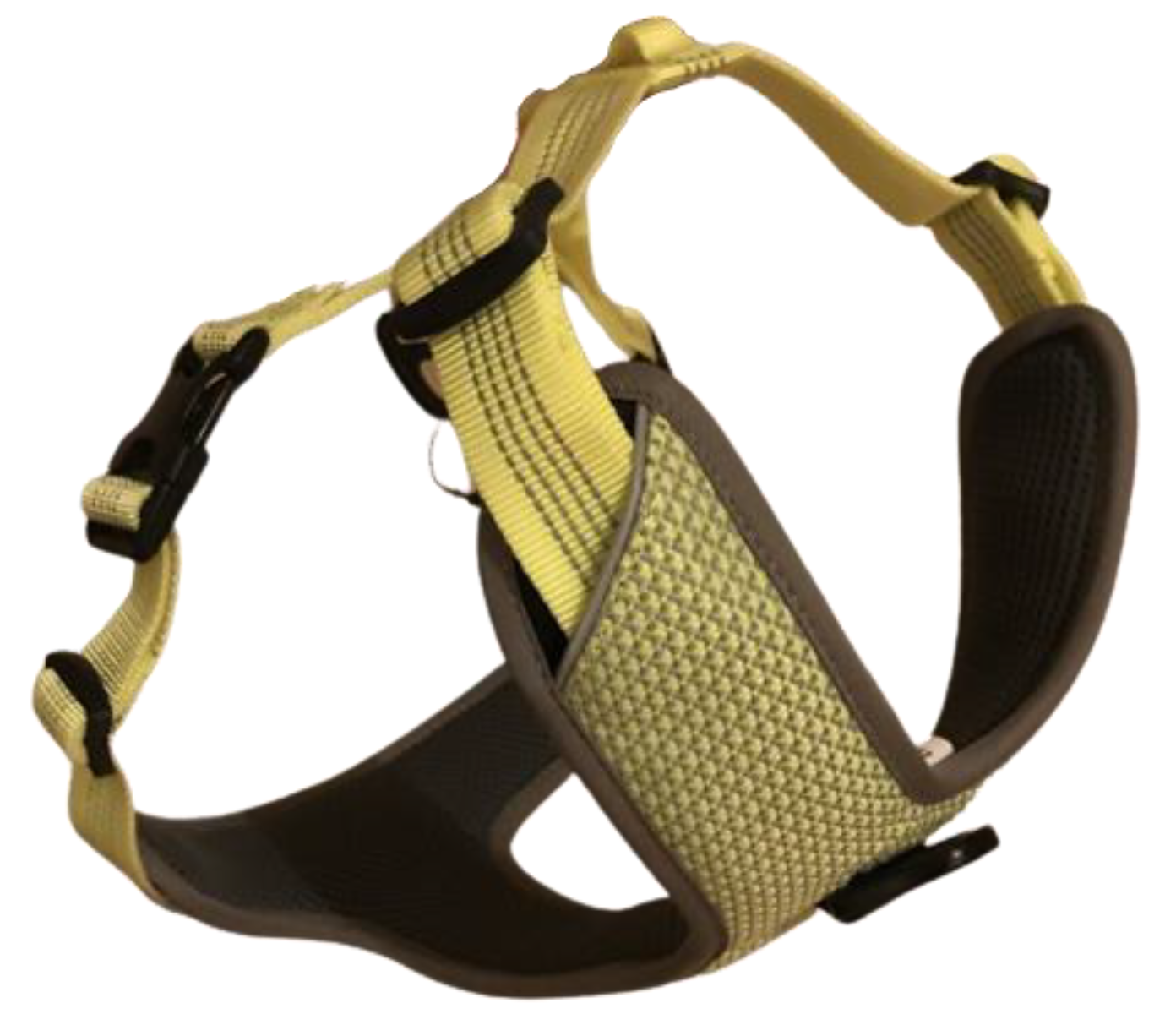 Animals 12 02453 g002