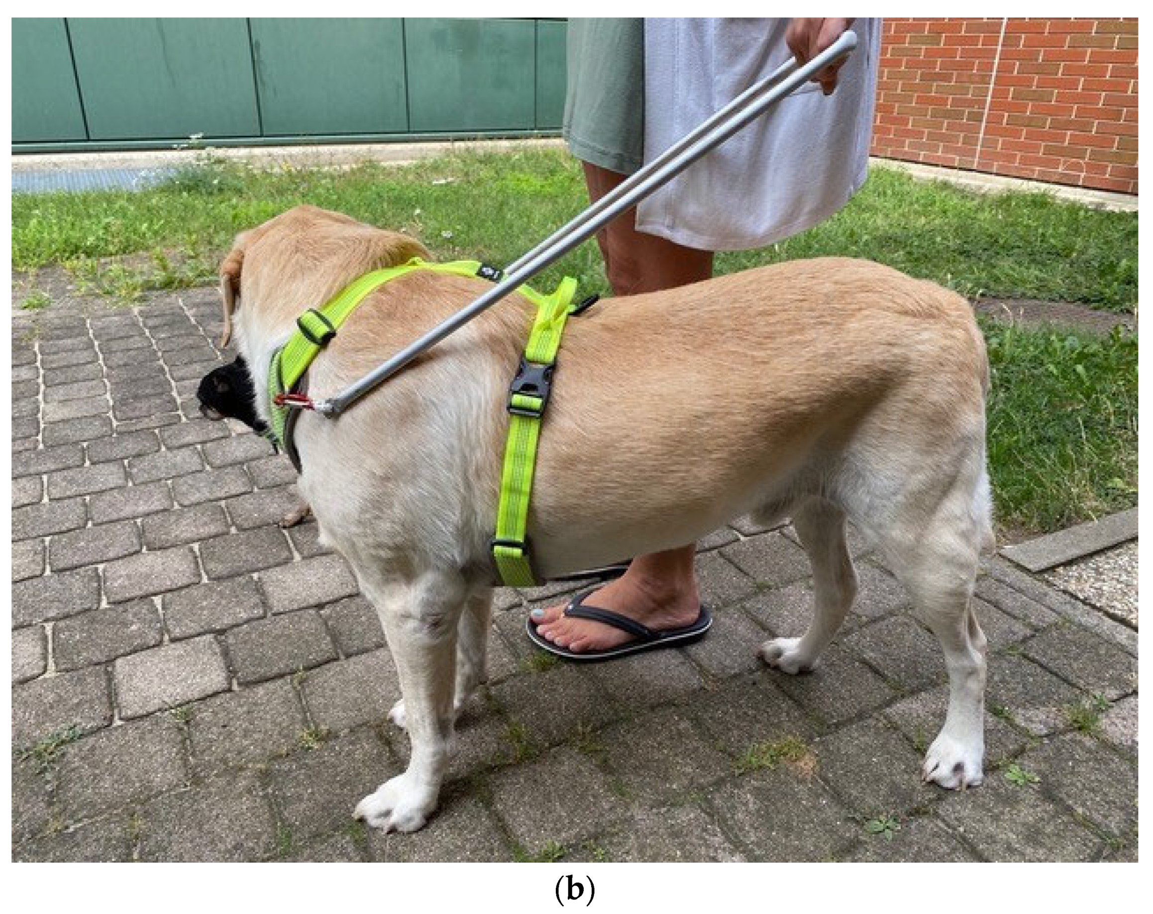 Animals 12 02453 g003b