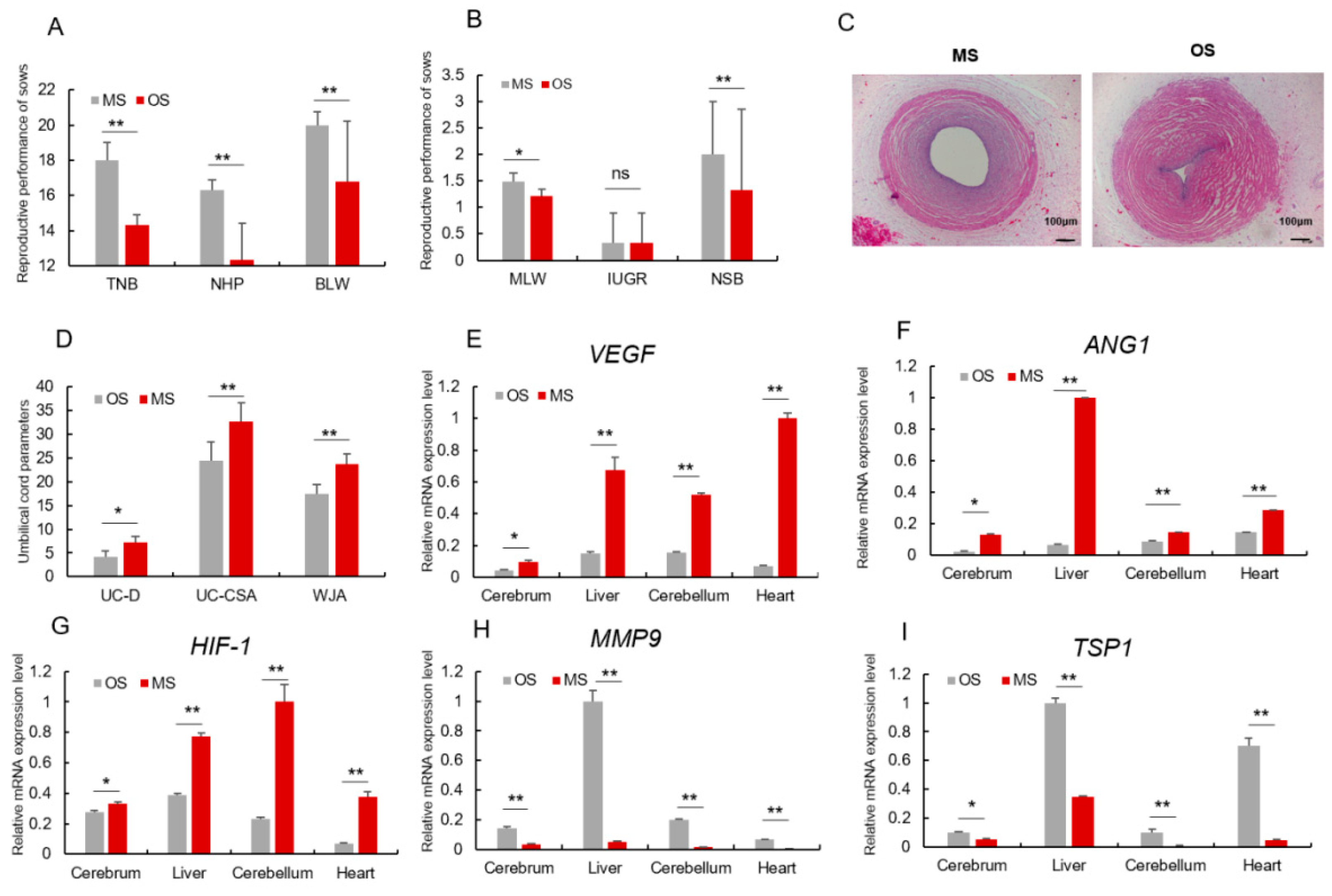 Animals 12 02456 g002