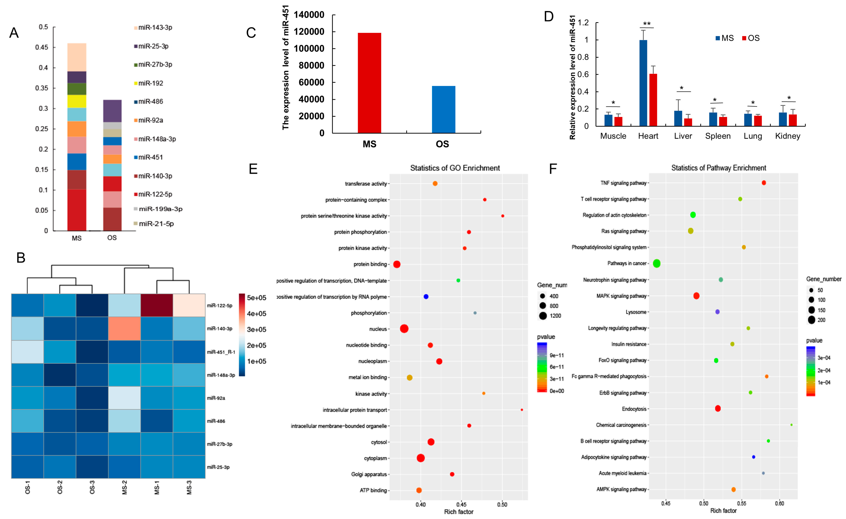 Animals 12 02456 g004