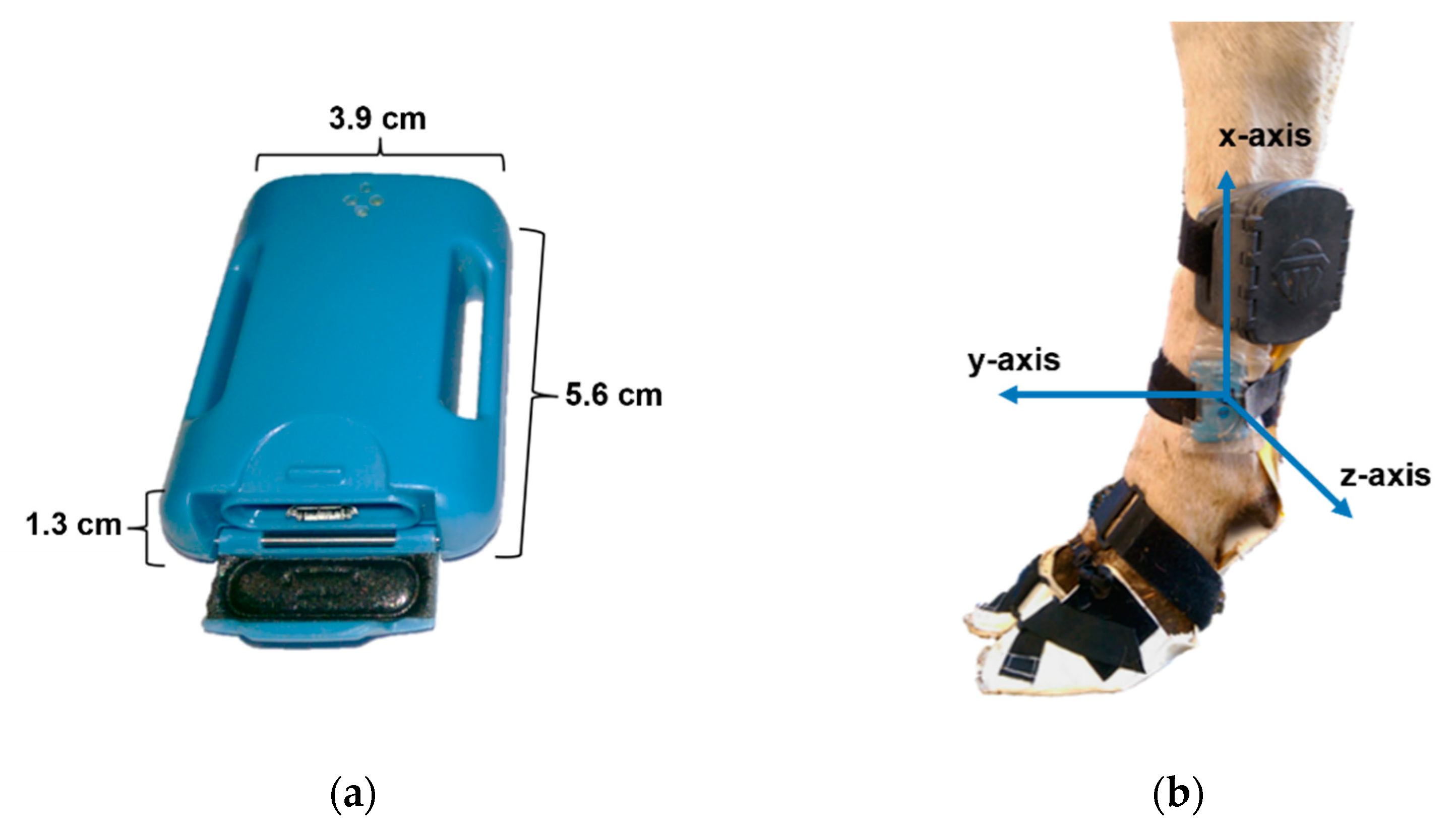 Animals 12 02457 g002