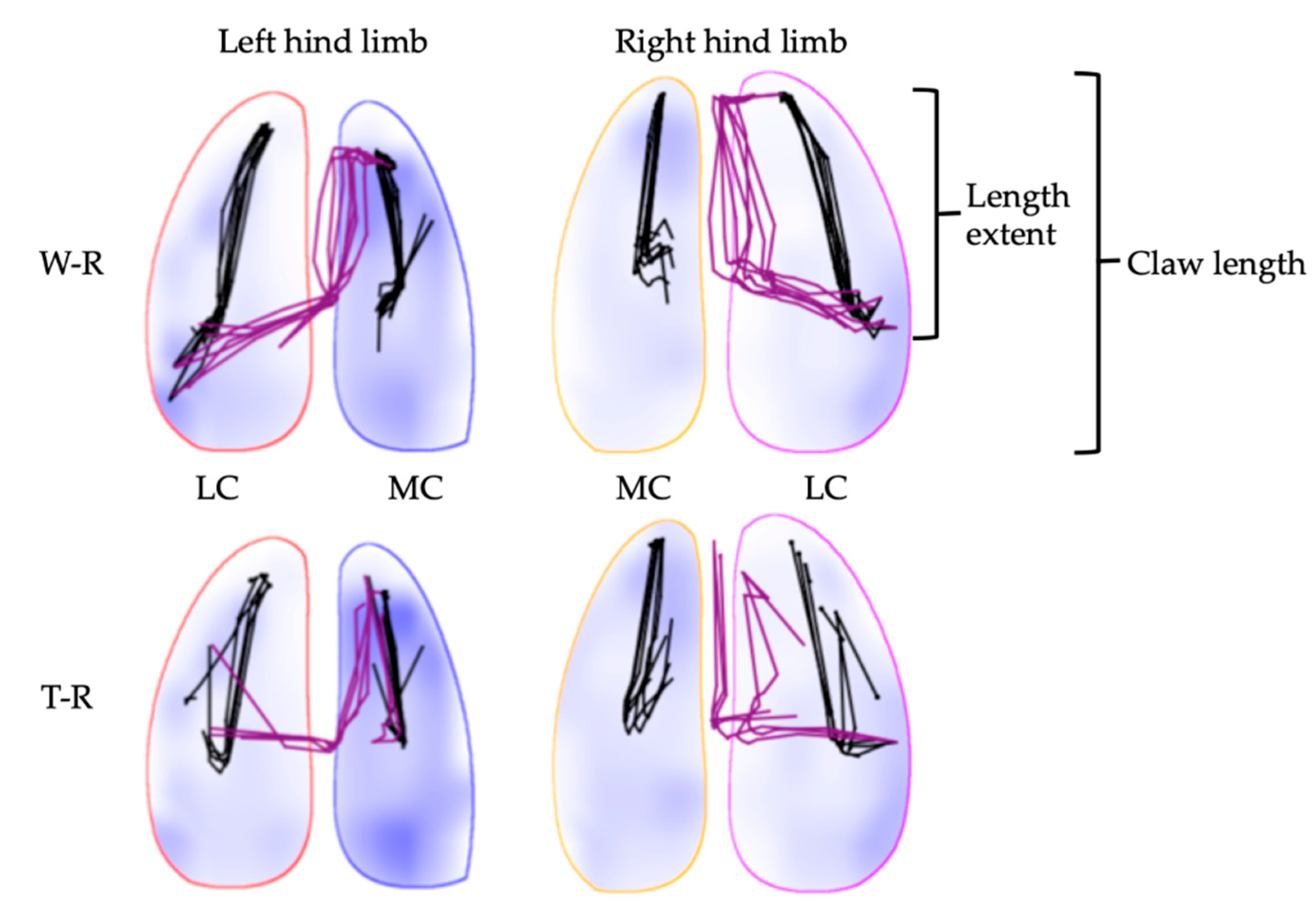 Animals 12 02457 g006